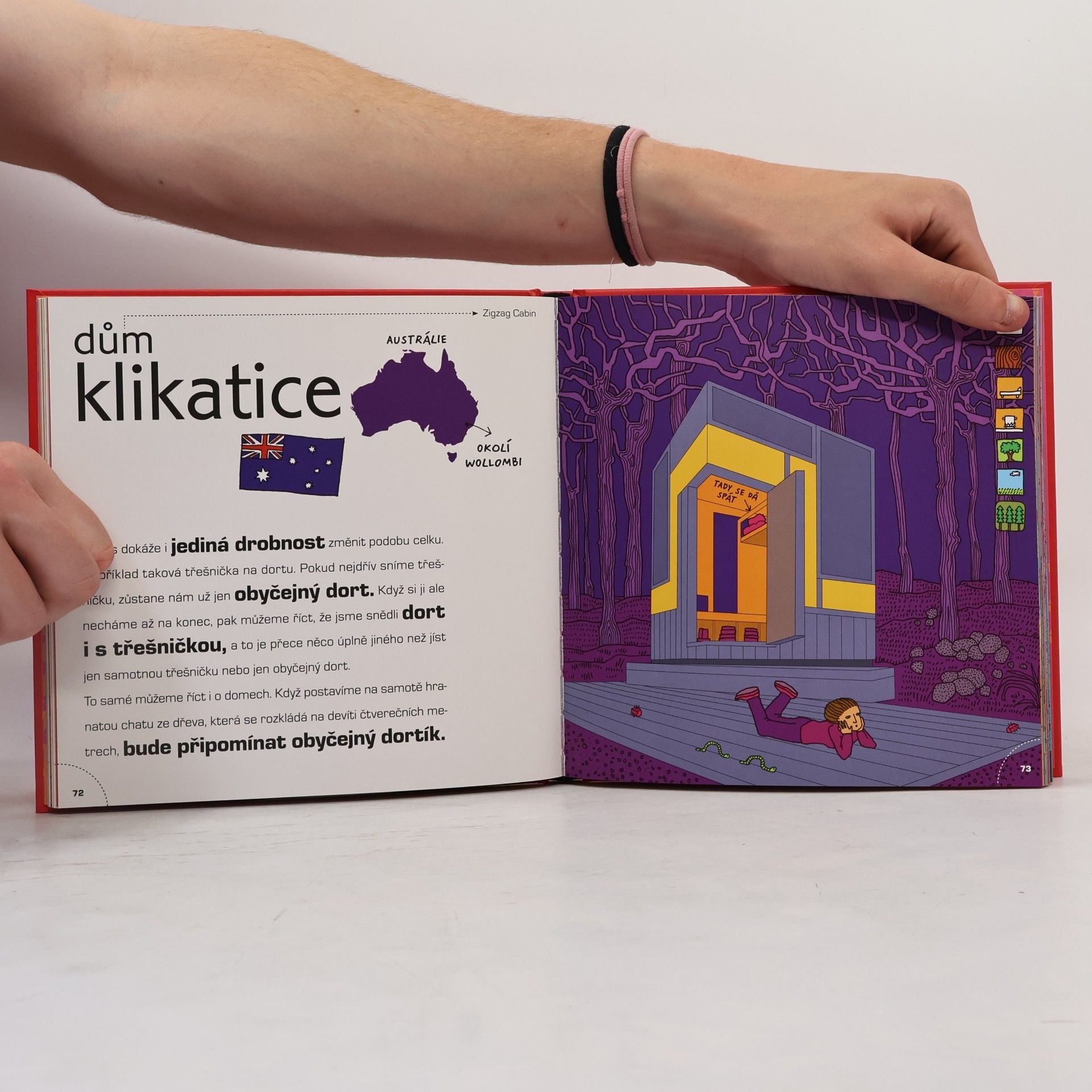 Aleksandra Mizielińska D.O.M.E.K. DOMEK. Důvtipná obrázková mozaika efektních konstrukcí