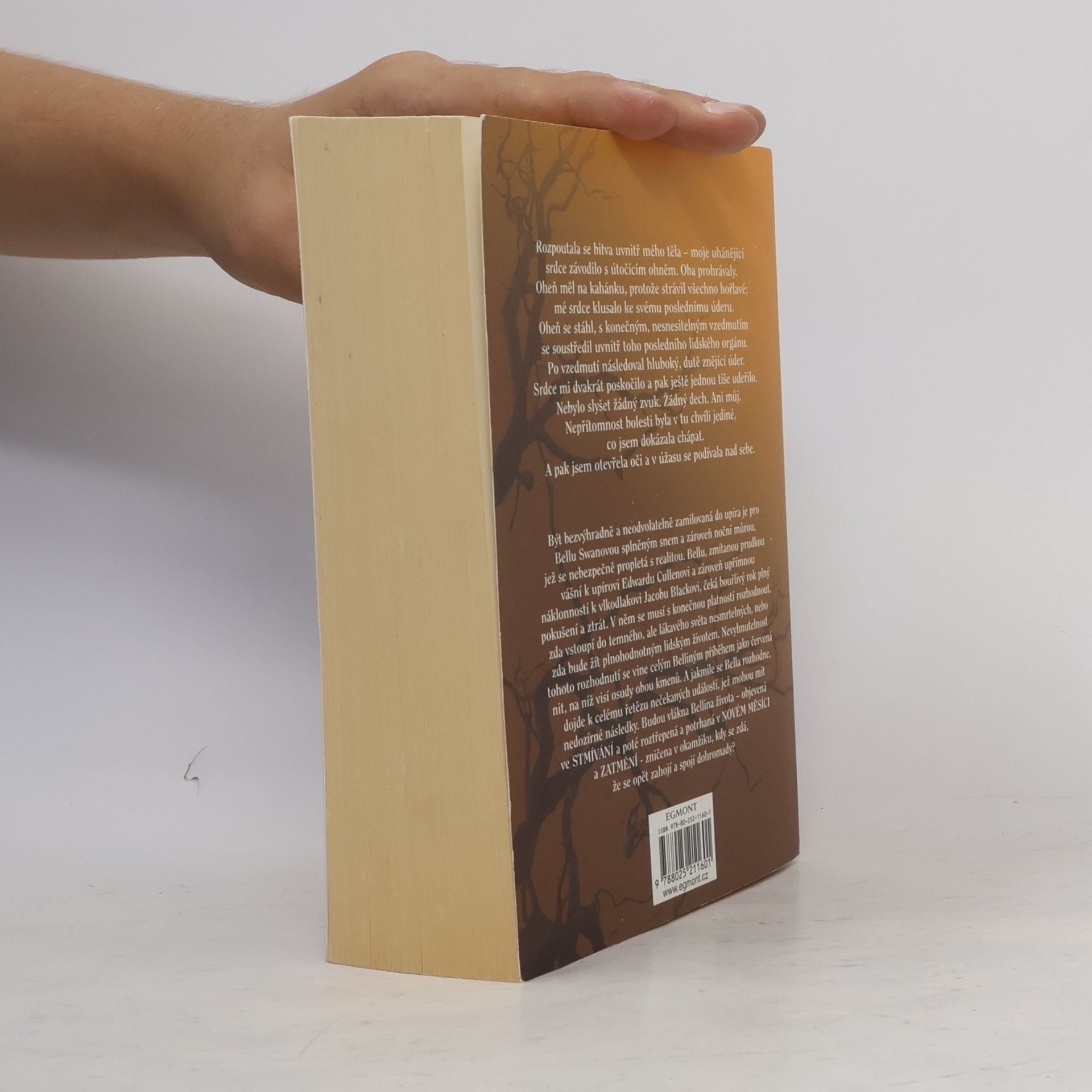 Stephenie Meyer Rozbřesk