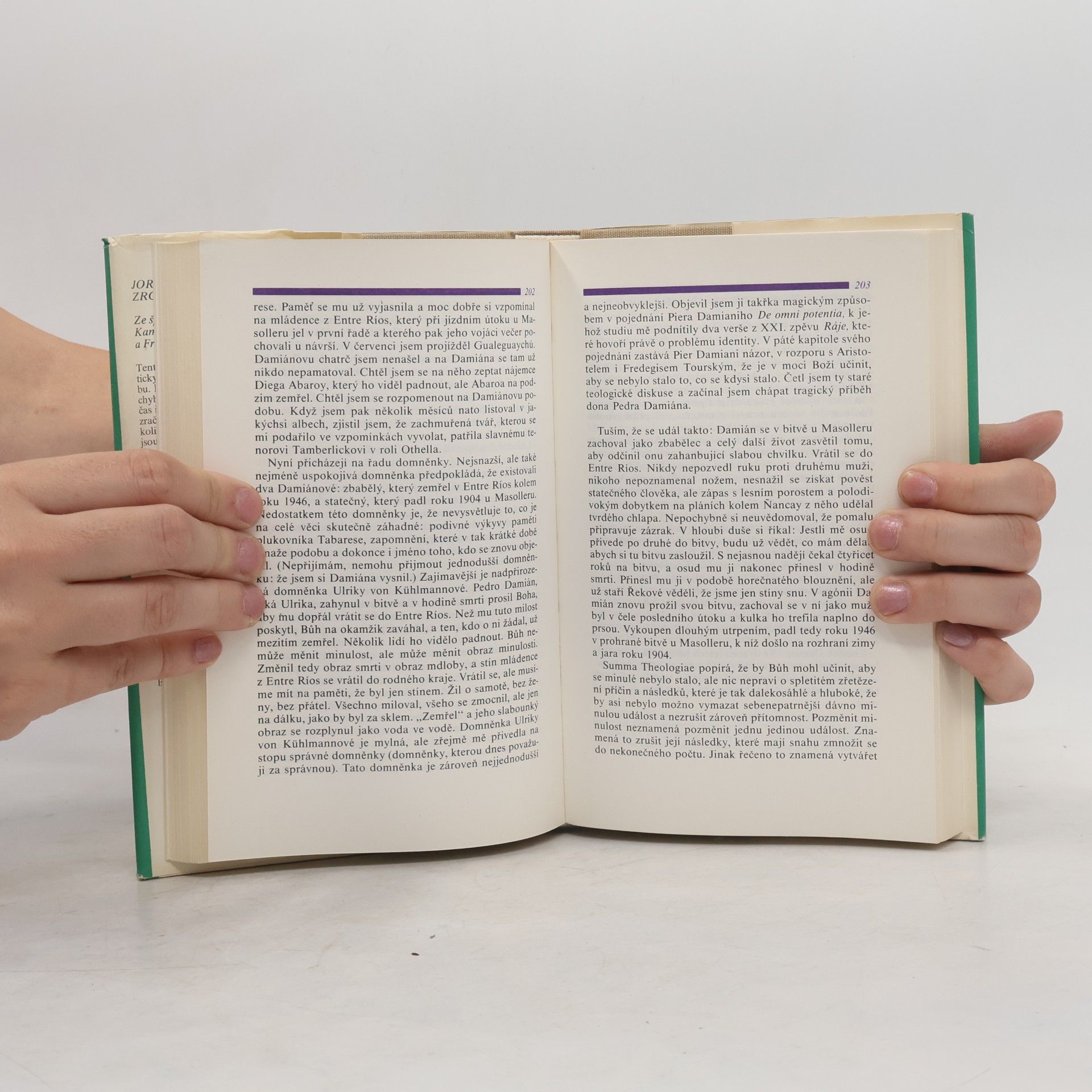 Jorge Luis Borges Zrcadlo a maska