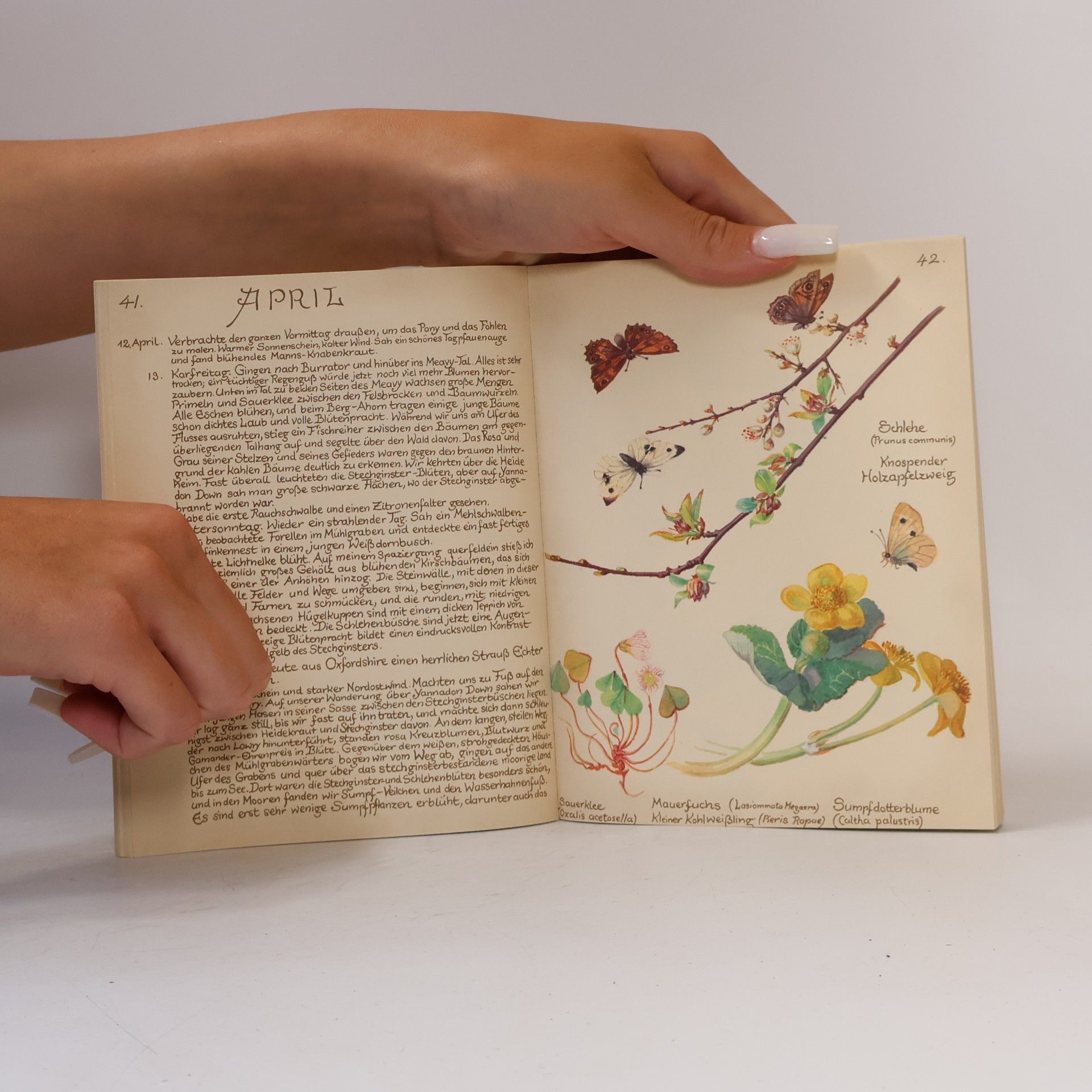 Edith Holden Vom Glück, mit der Natur zu leben: Das Tagebuch der Edith Holden