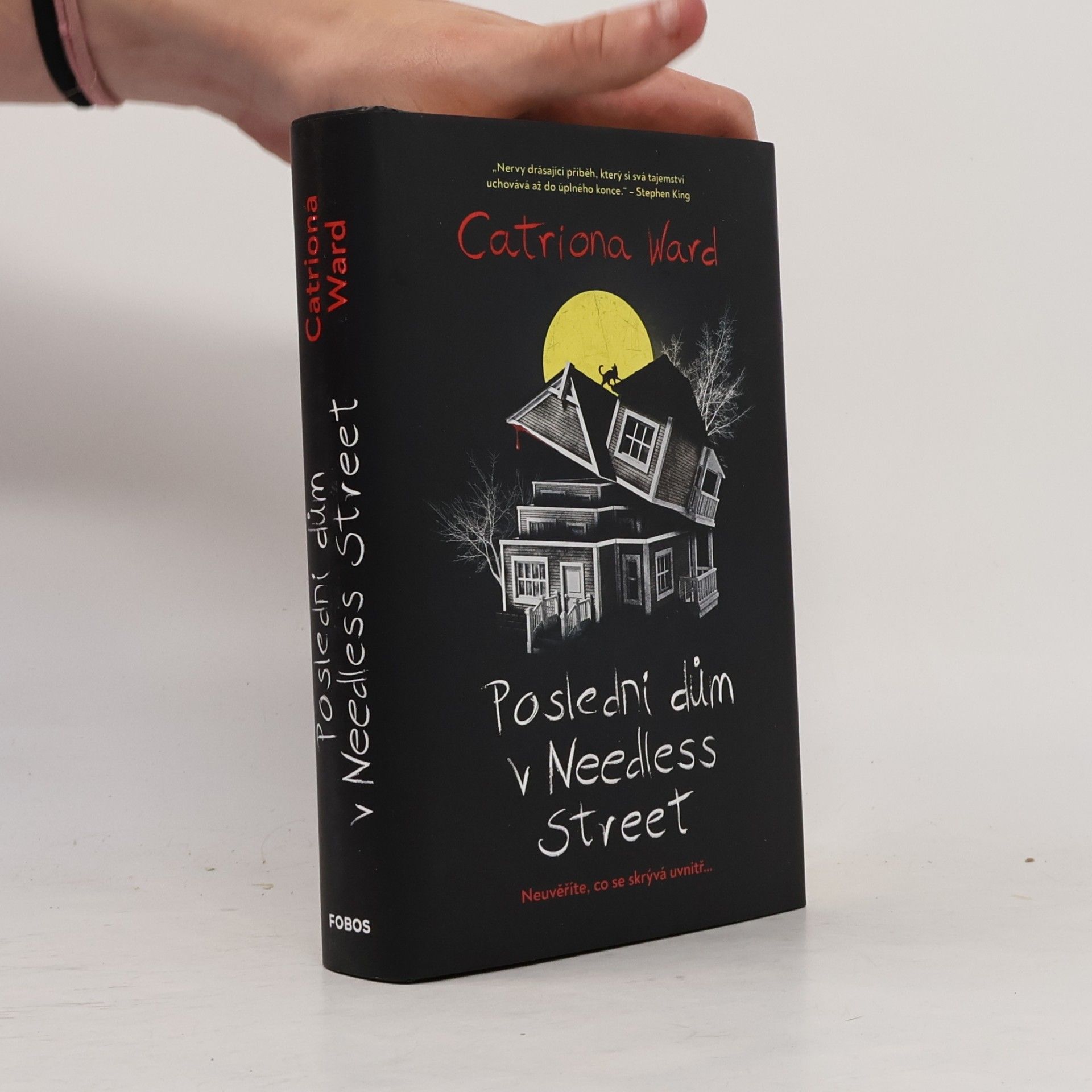 Catriona Ward Poslední dům v Needless Street