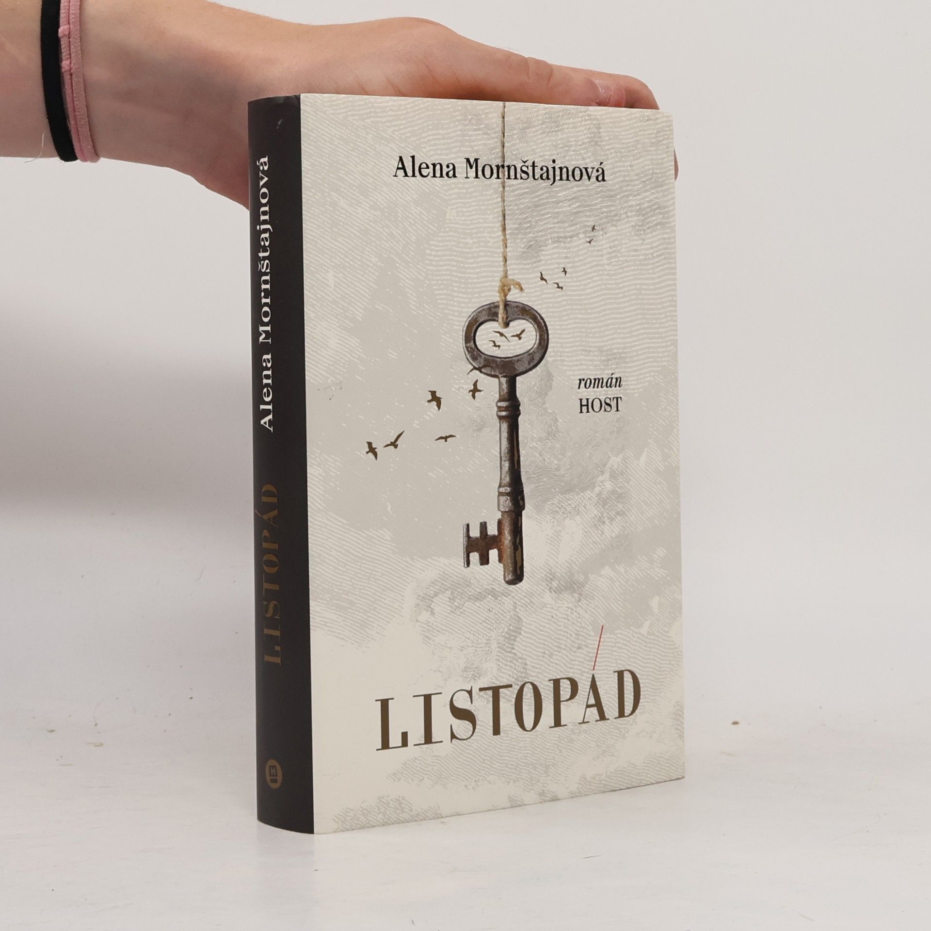 Alena Mornštajnová Listopád