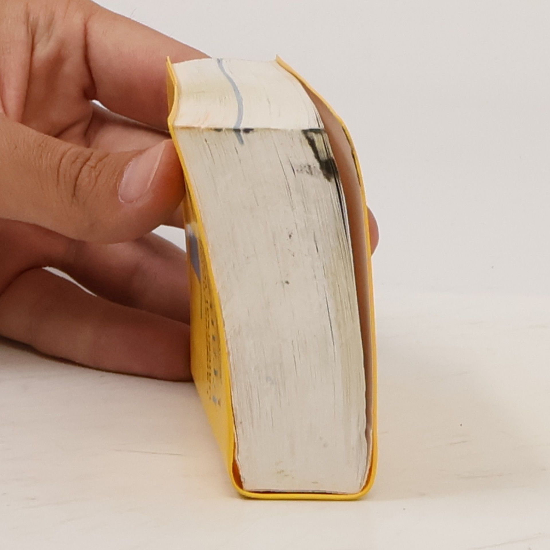 Barbara Epple Langenscheidt, Universal-Wörterbuch Französisch