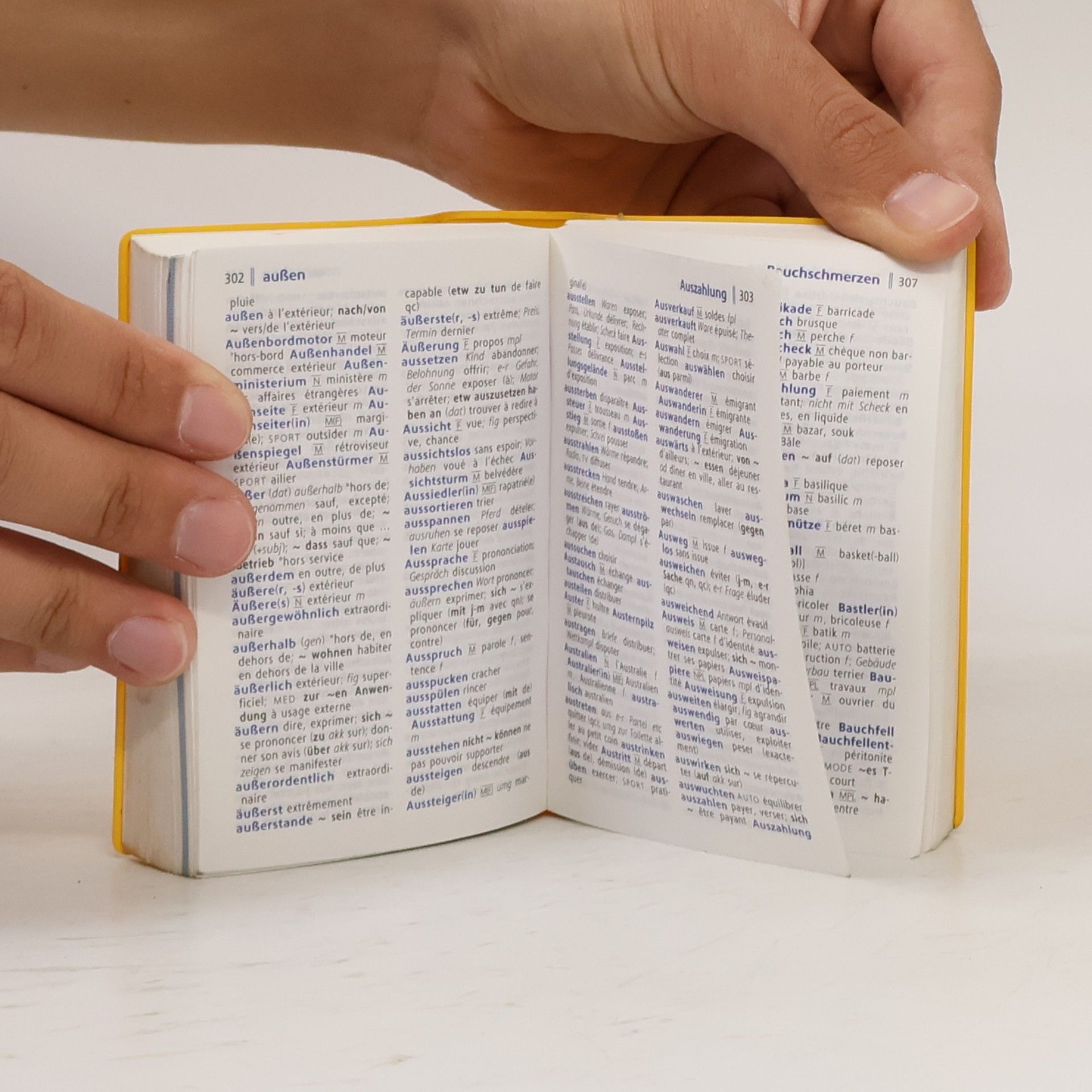 Barbara Epple Langenscheidt, Universal-Wörterbuch Französisch