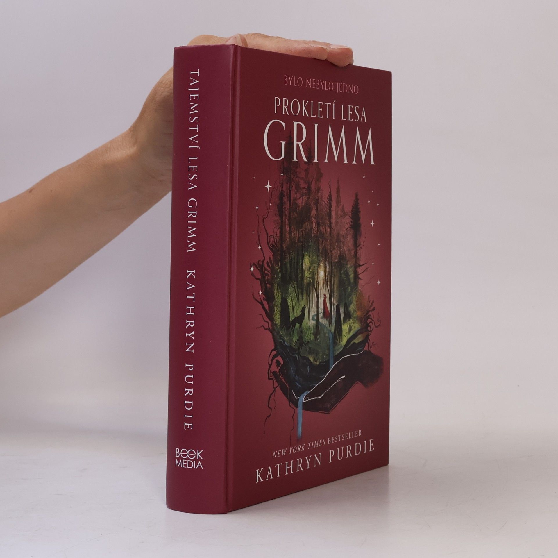 Prokletí lesa Grimm