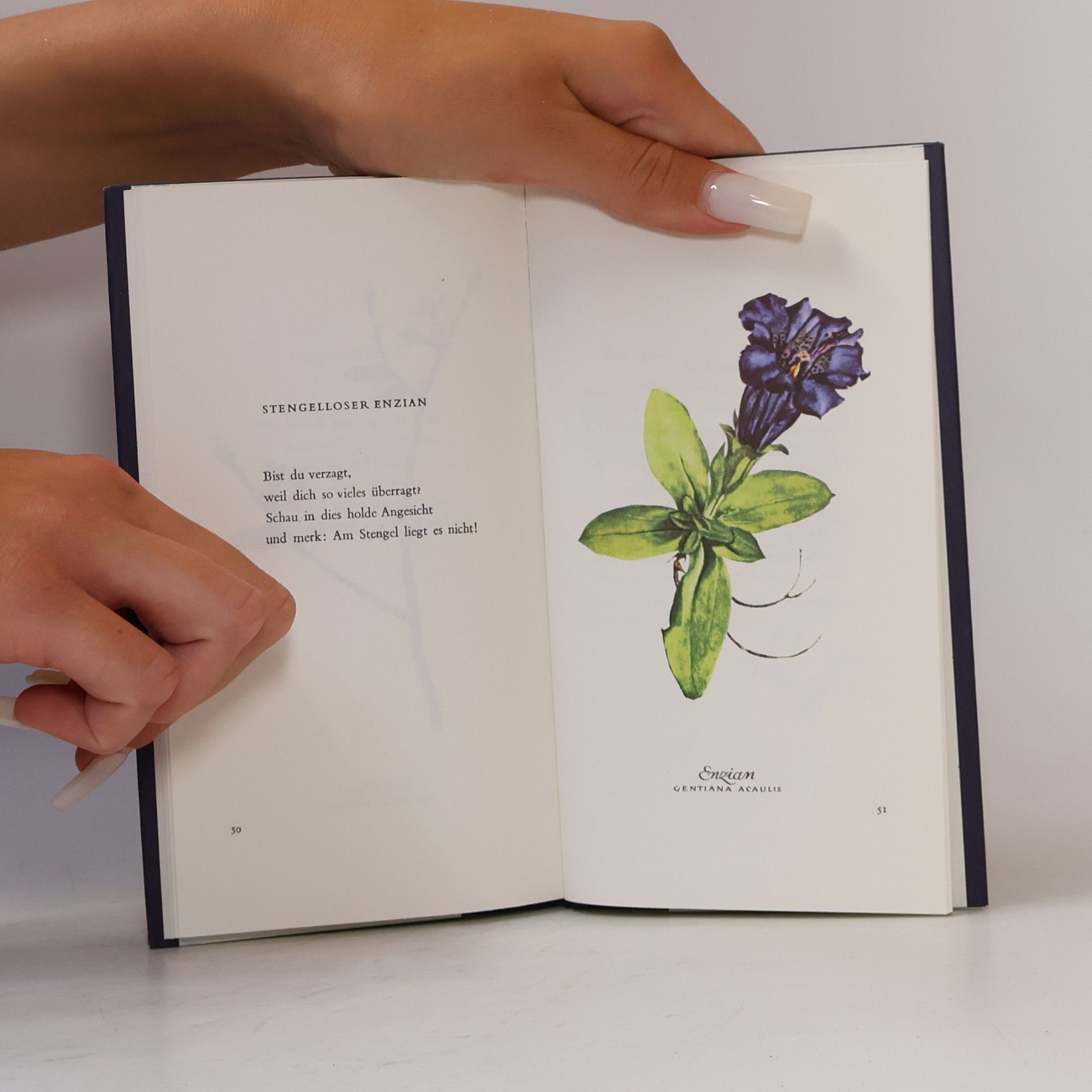 Karl Heinrich Waggerl Heiteres Herbarium