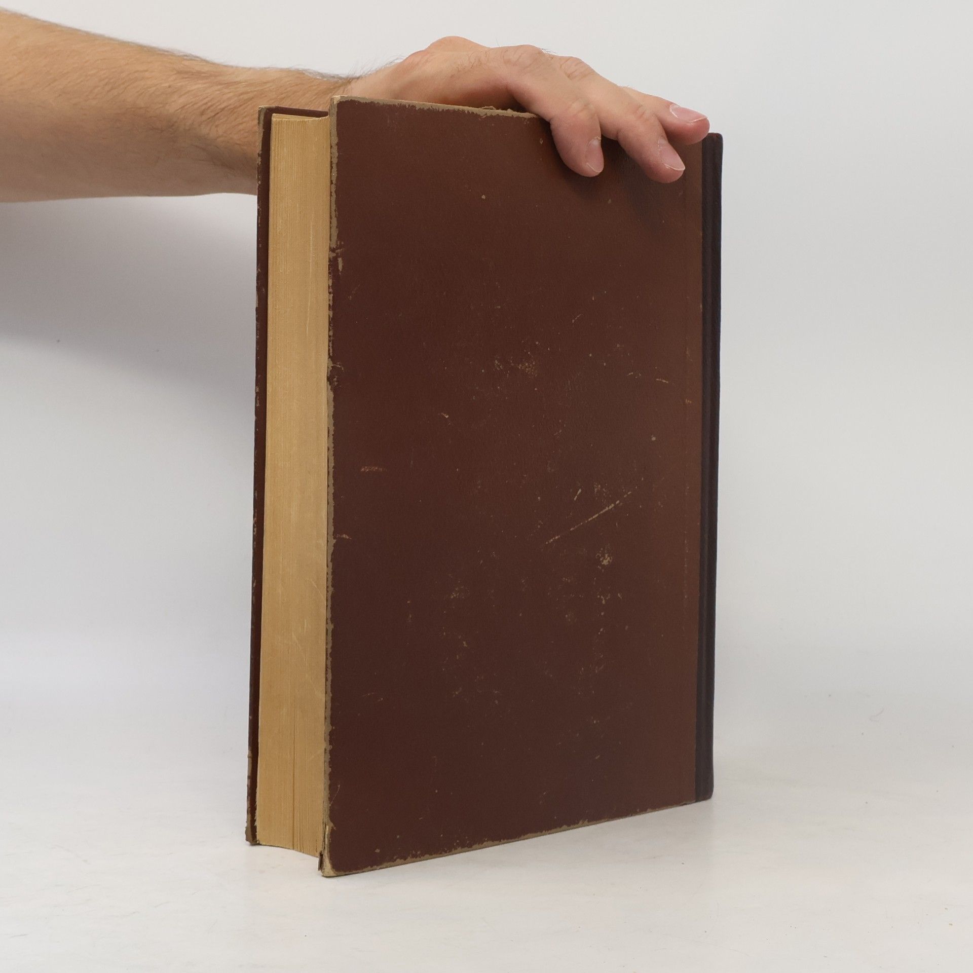 Albrecht Reum Dictionnaire de Style