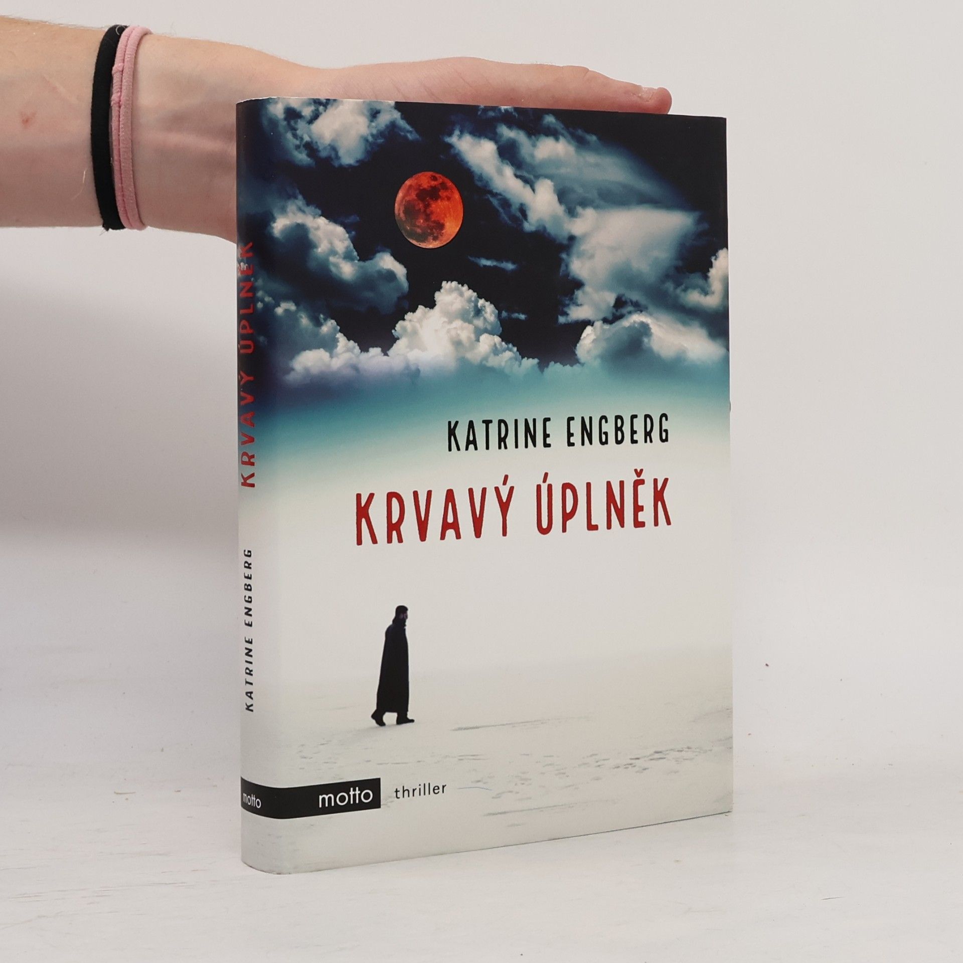 Katrine Engberg Krvavý úplněk