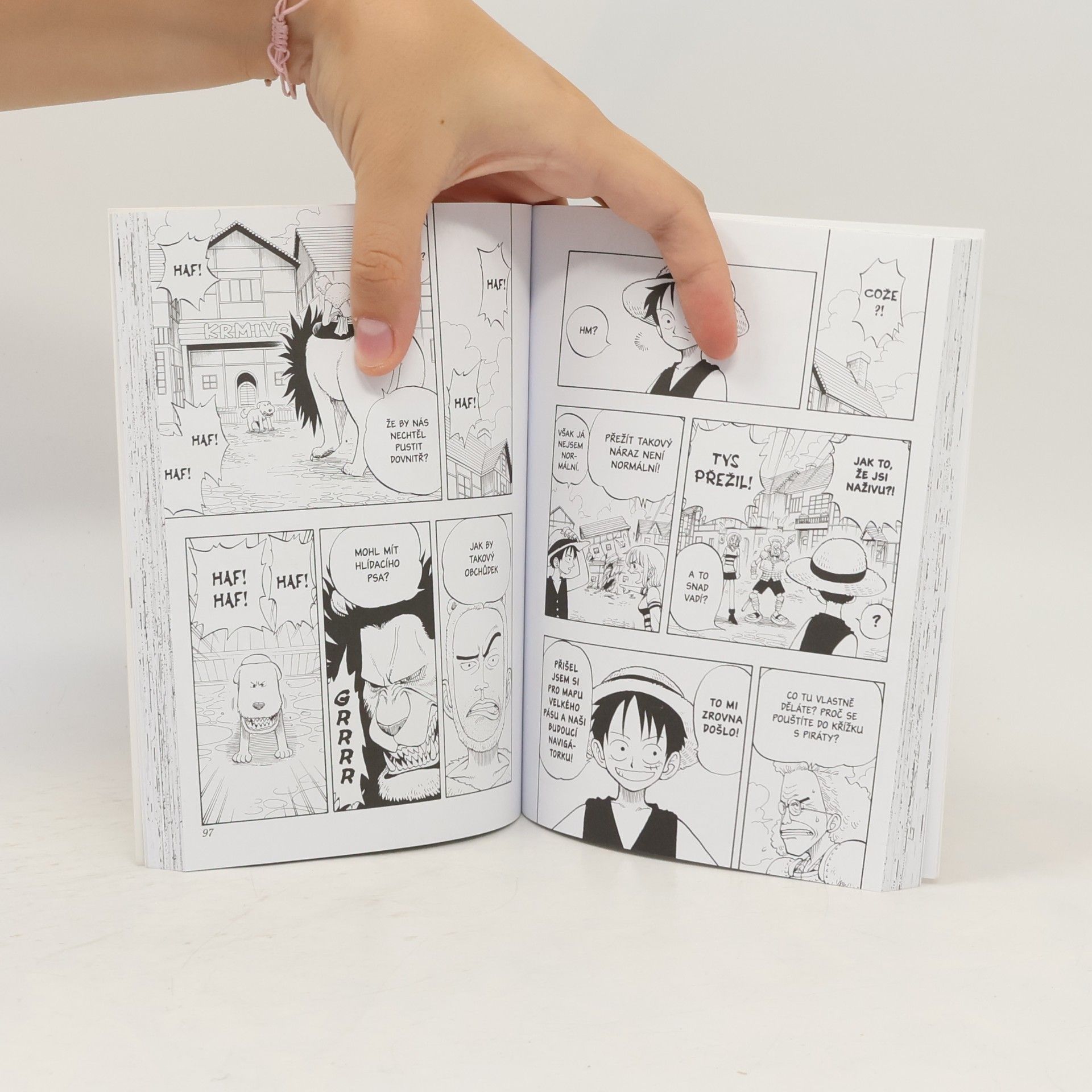 Petr Kabelka One piece. Svazek 2., Střet s Buggyho posádkou!