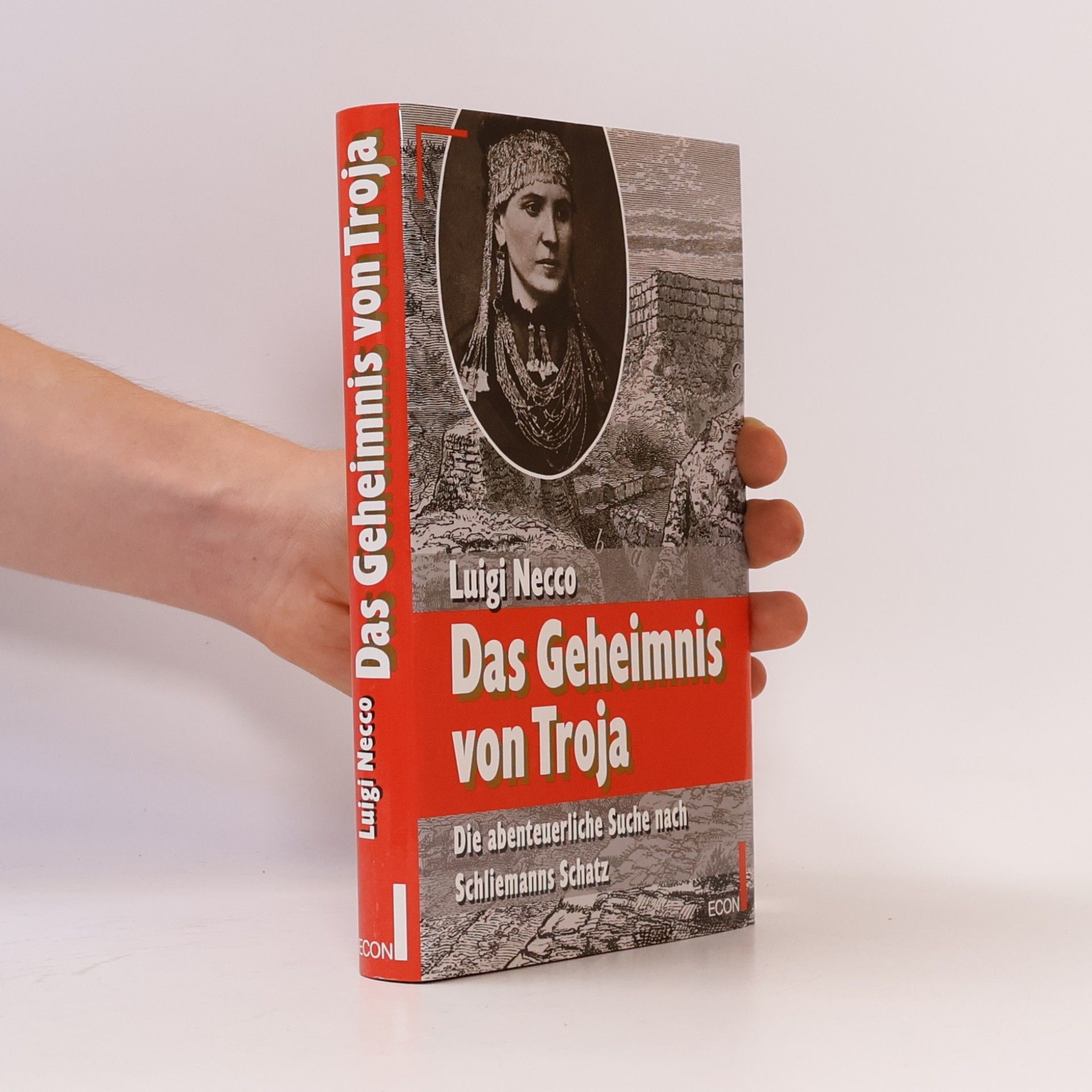 Luigi Necco Das Geheimnis von Troja