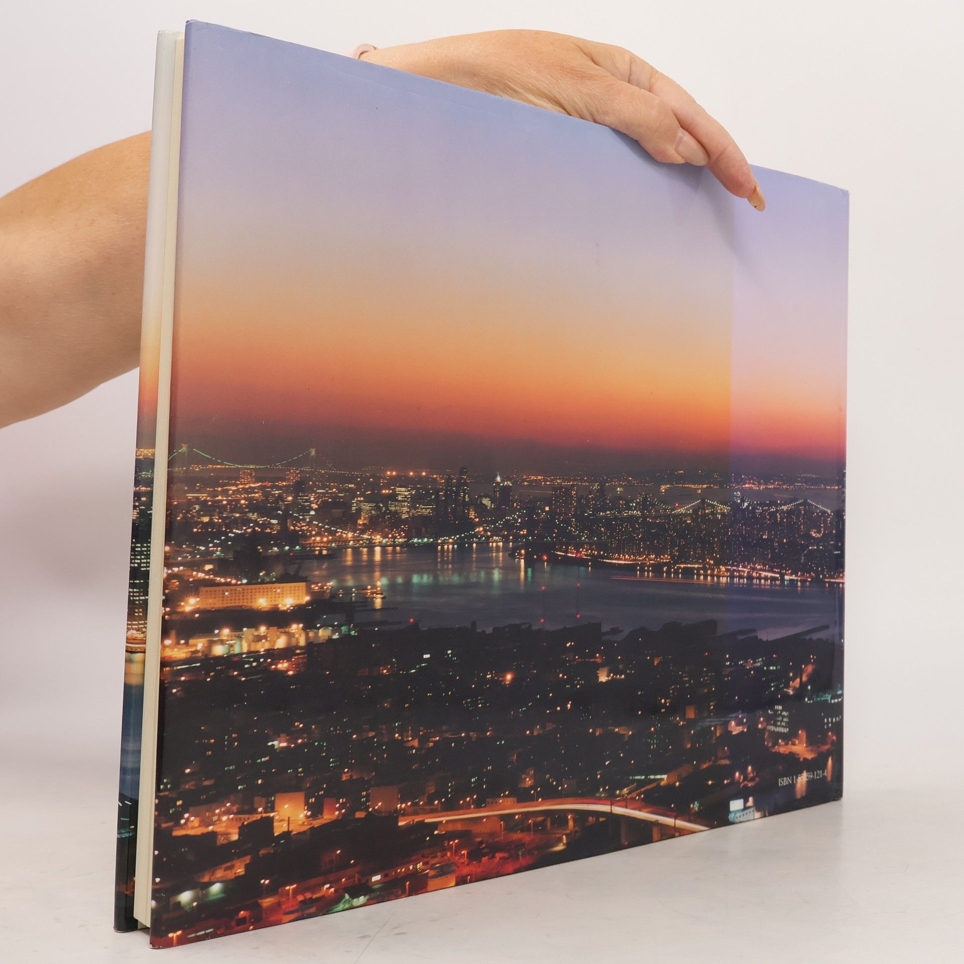 Nathaniel Lieberman Manhattan Lightscape