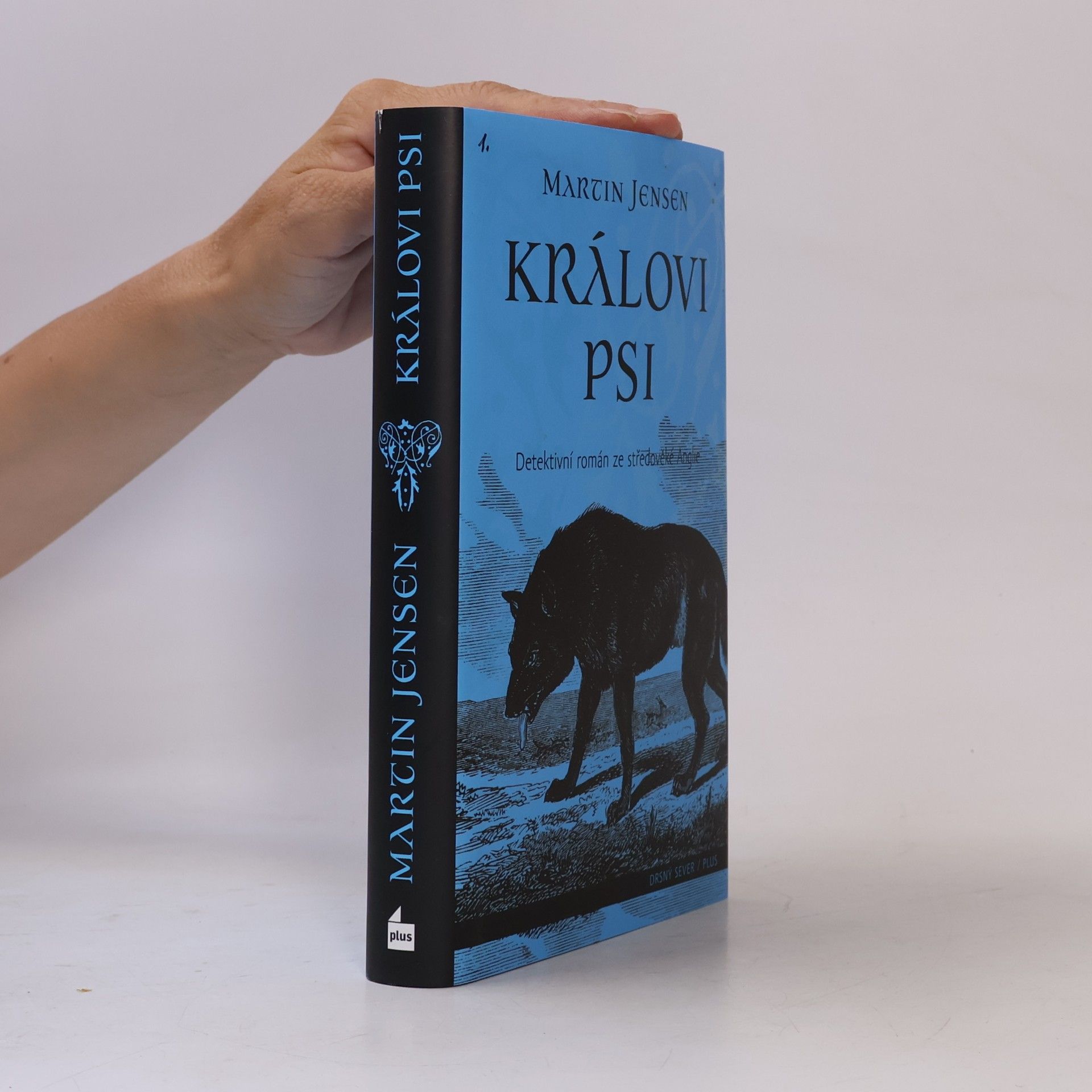 Martin Jensen Královi psi