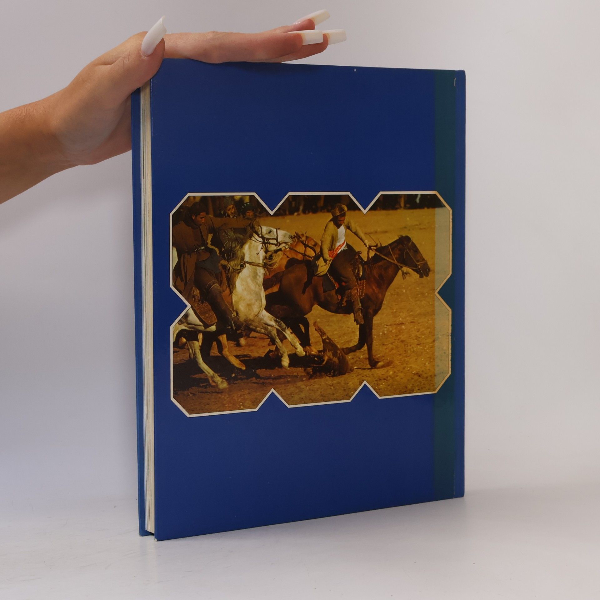 Autorenkollektiv Das große Reader's Digest Jugendbuch 18
