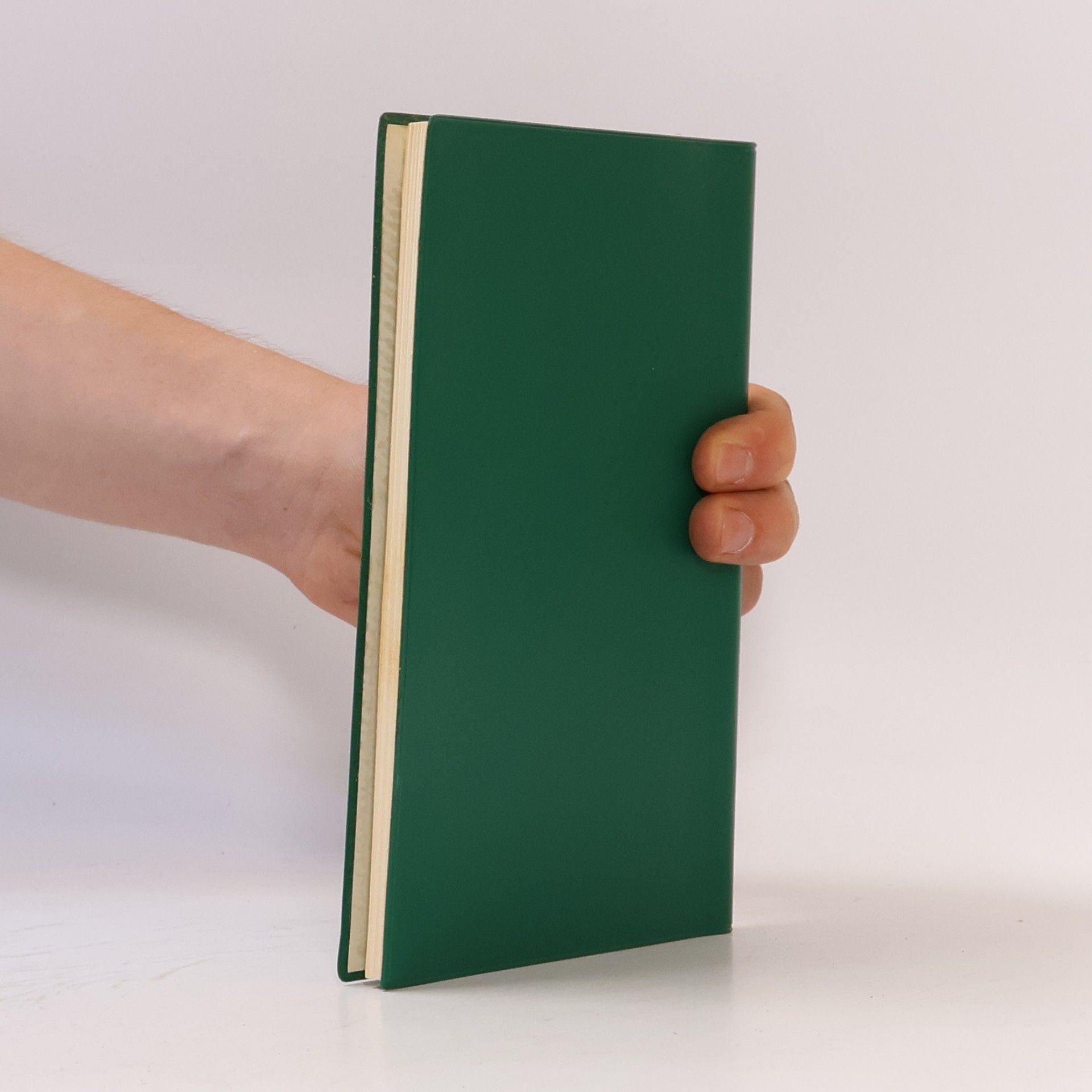 Autorenkollektiv Grundwissen Mathematik C