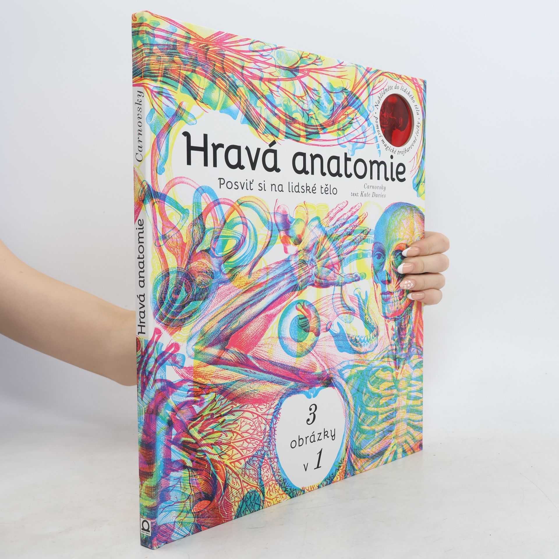 Katie Davies Hravá anatomie - posviť si na lidské tělo