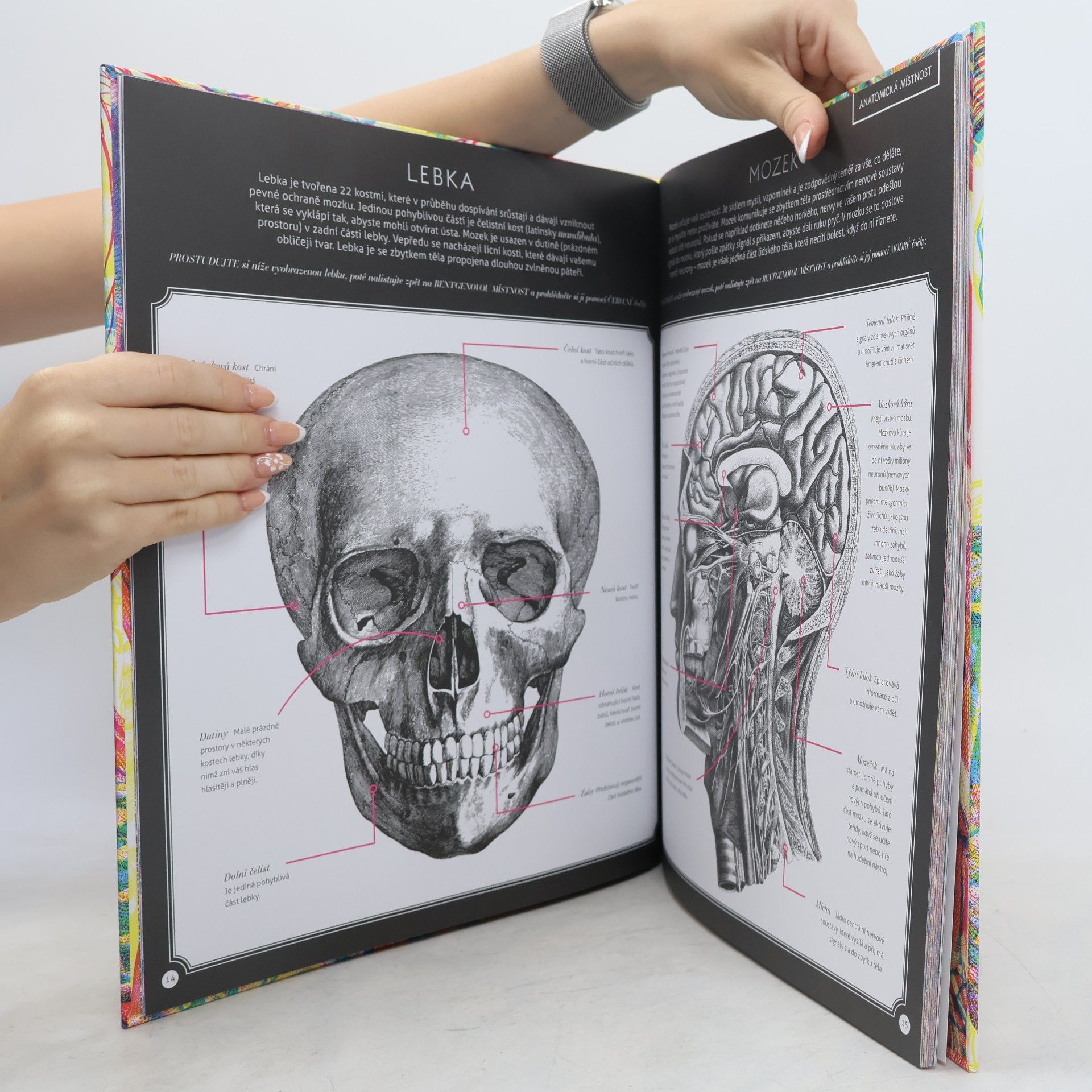 Kate Davies Hravá anatomie - posviť si na lidské tělo
