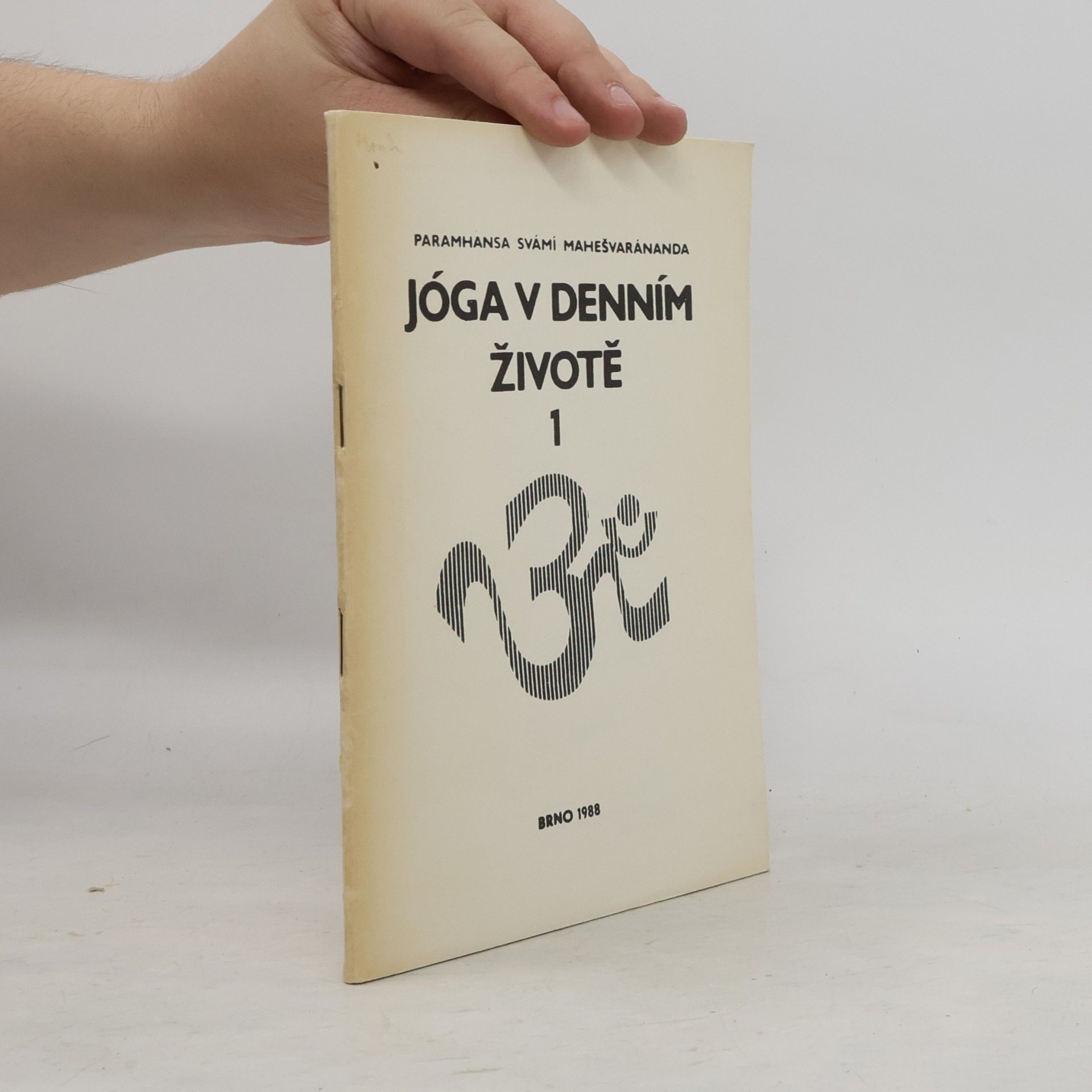 Jóga v denním životě I