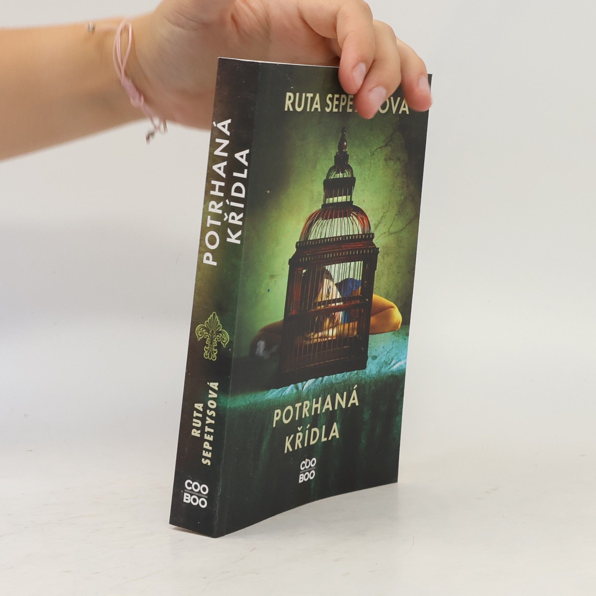 Ruta Sepetys Potrhaná křídla