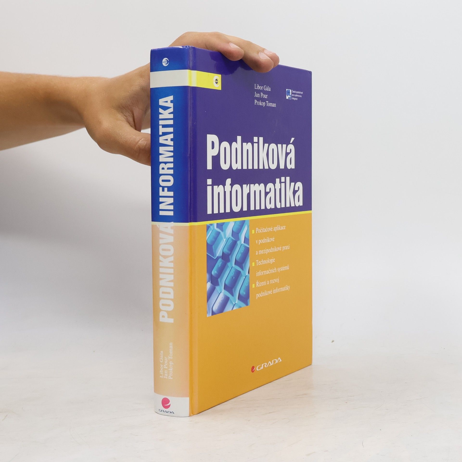 Jan Pour Podniková informatika