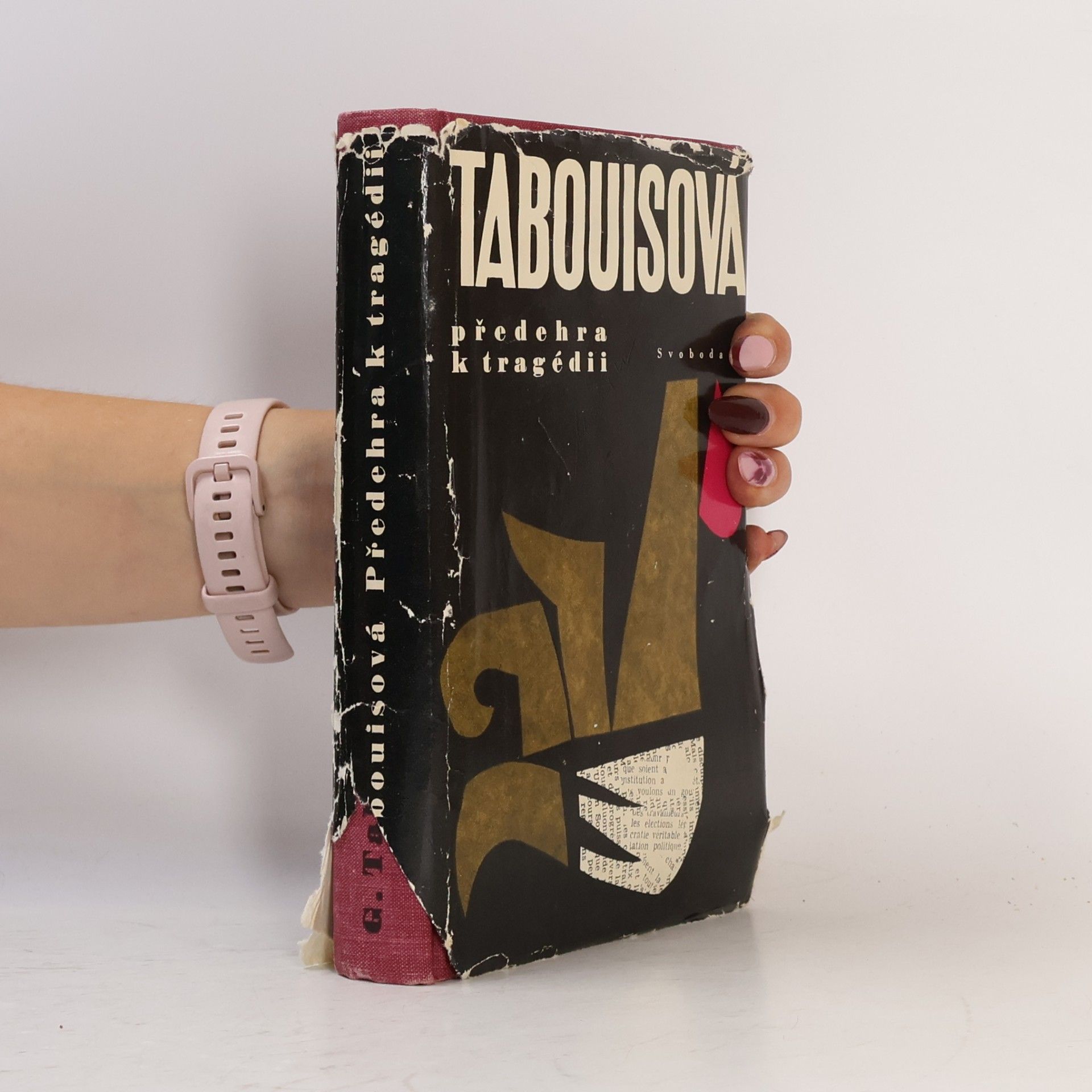 Geneviève Tabouis Předehra k tragédii