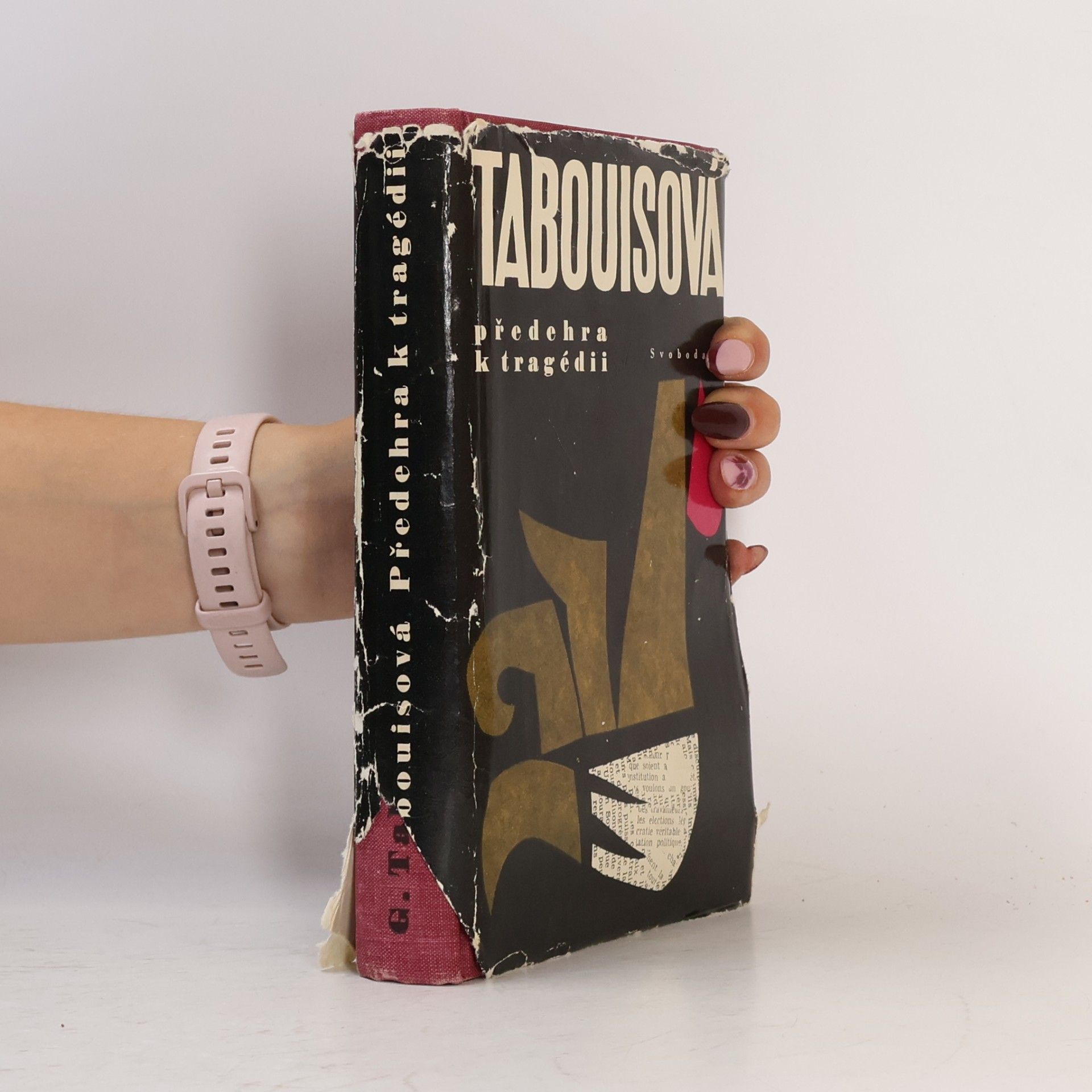 Geneviève Tabouis Předehra k tragédii