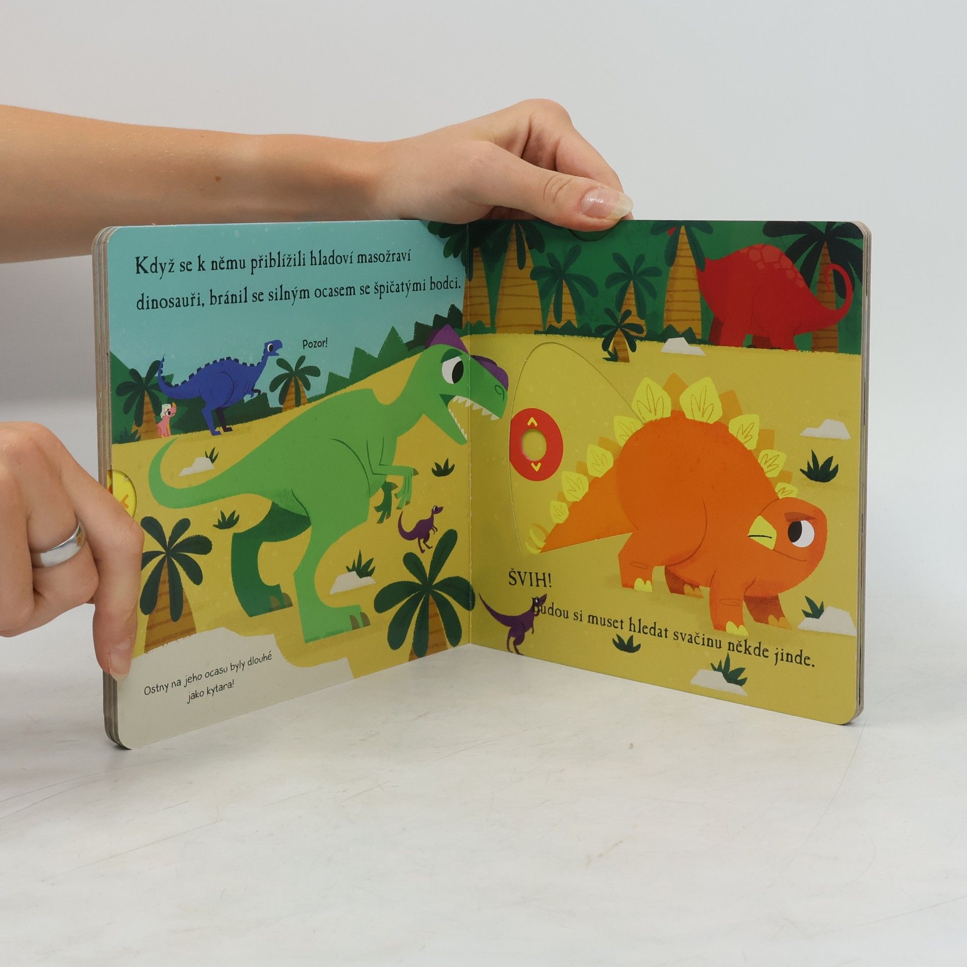 David Partington Ahoj Dinosaure Stegosaurus