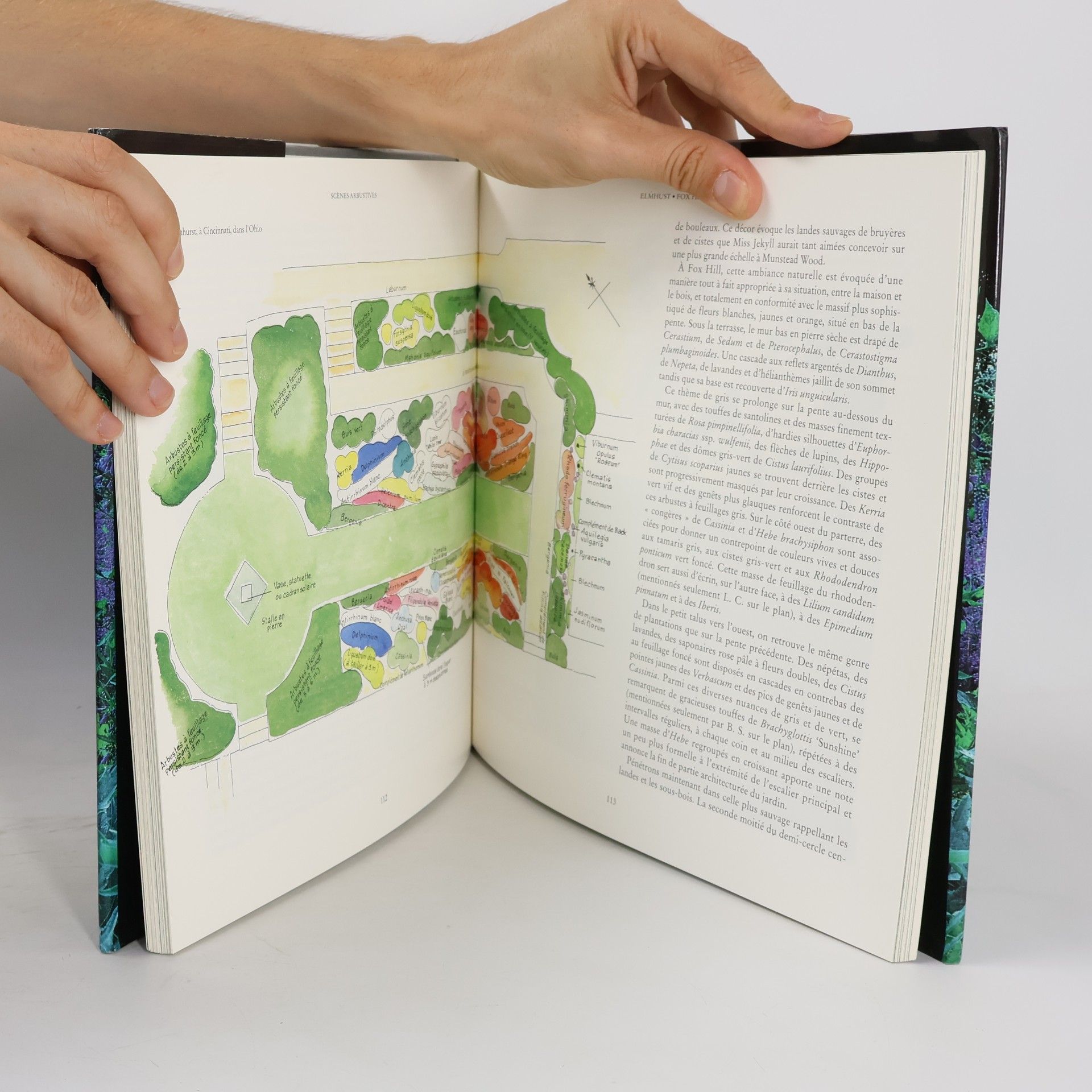 Richard Bisgrove L'art des jardins à l'anglaise de Gertrude Jekyll