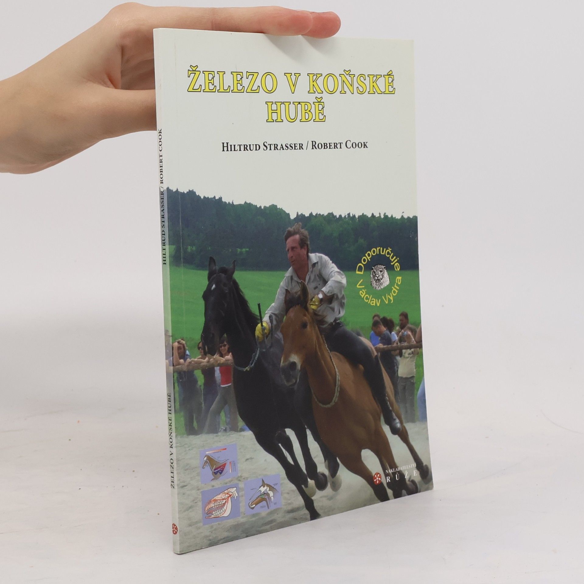 Hiltrud Strasser Železo v koňské hubě