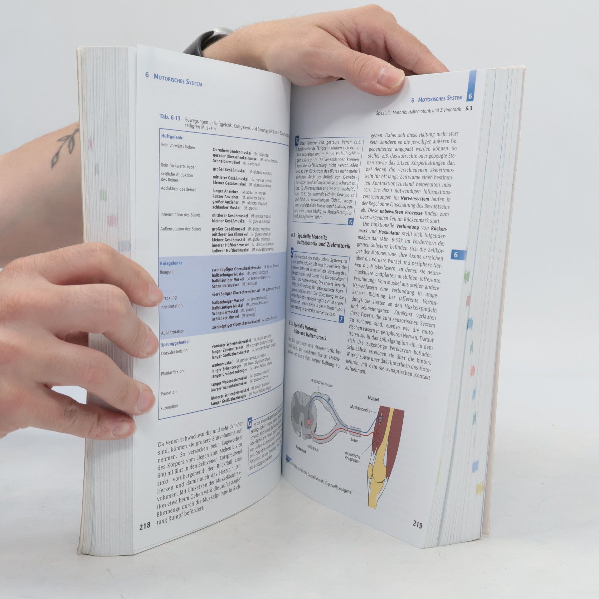 Erwin-Josef Speckmann Handbuch Anatomie