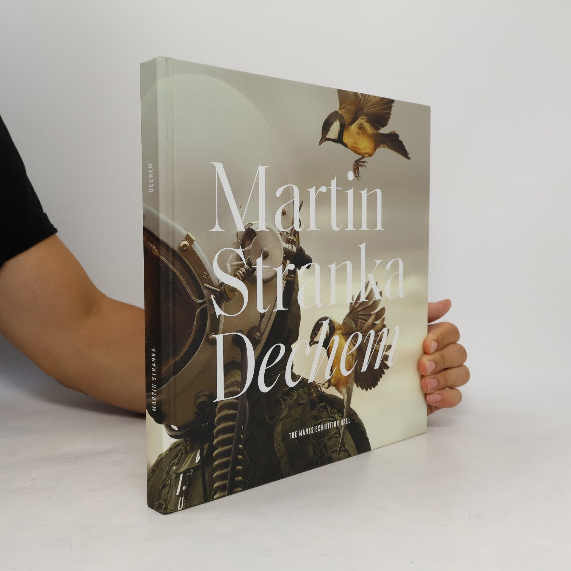 Martin Straka Dechem