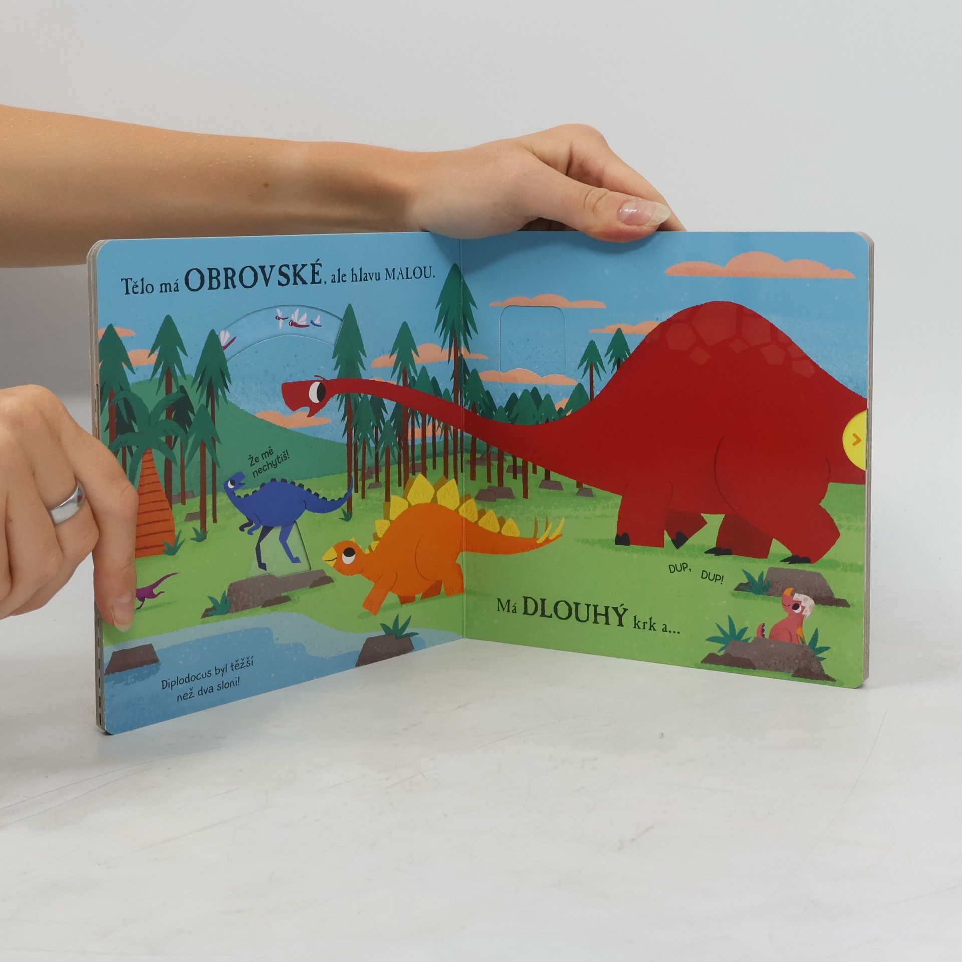 Lukáš Vlasák Ahoj dinosaure. Diplodocus