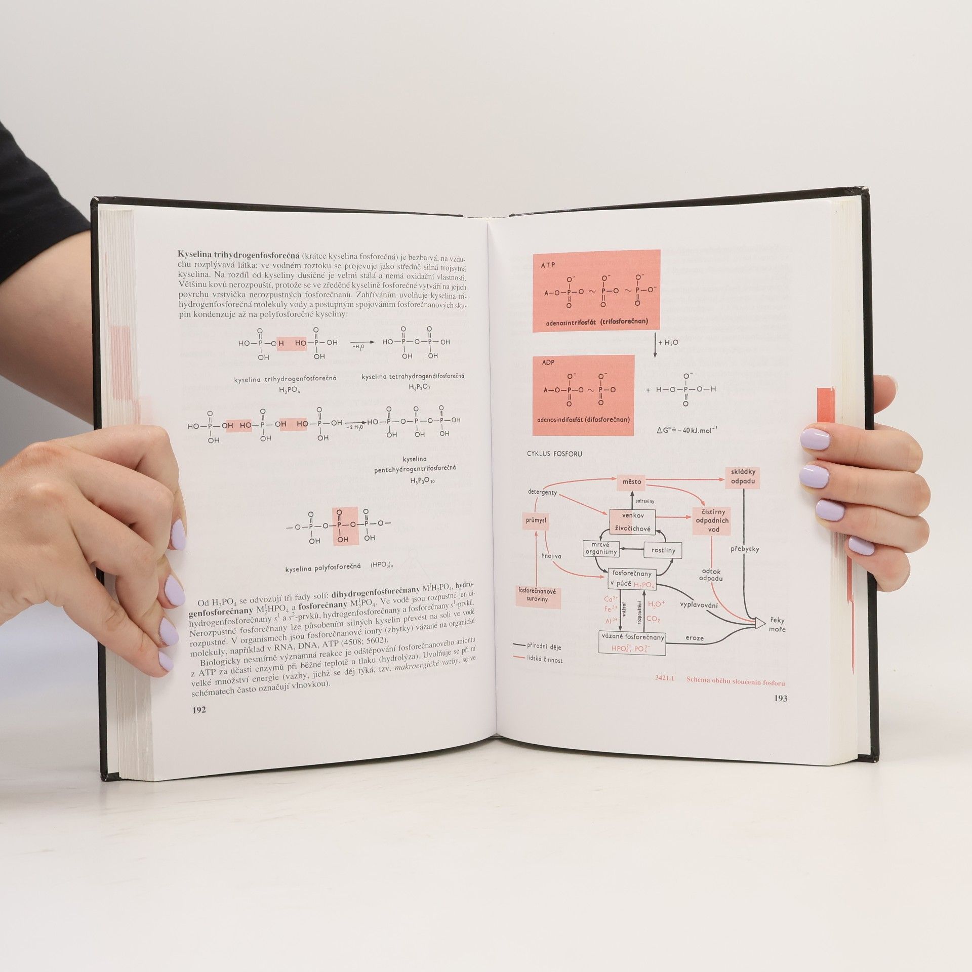 Autorenkollektiv Přehled středoškolské chemie