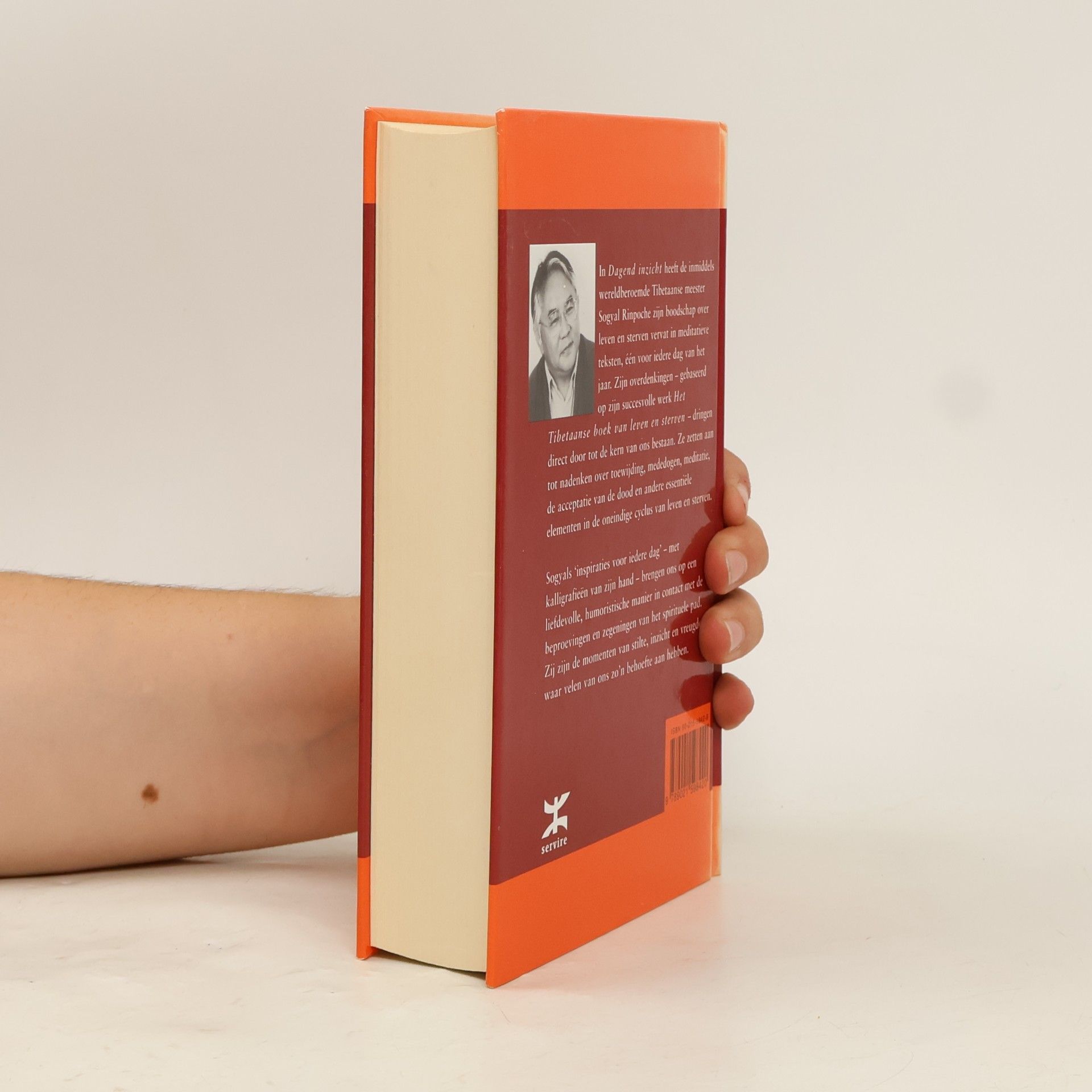 Sogyal Rinpoche Dagend inzicht