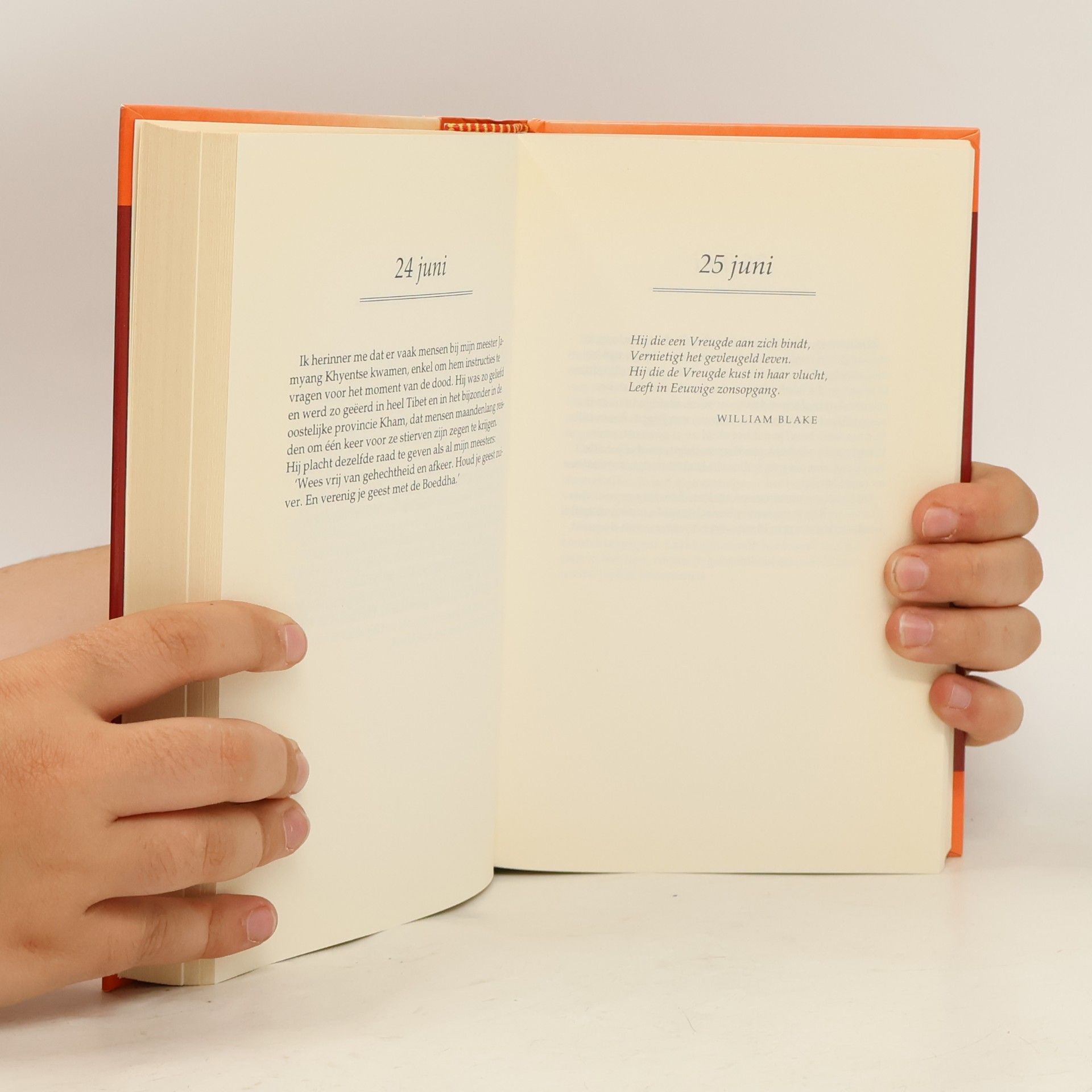 Sogyal Rinpoche Dagend inzicht