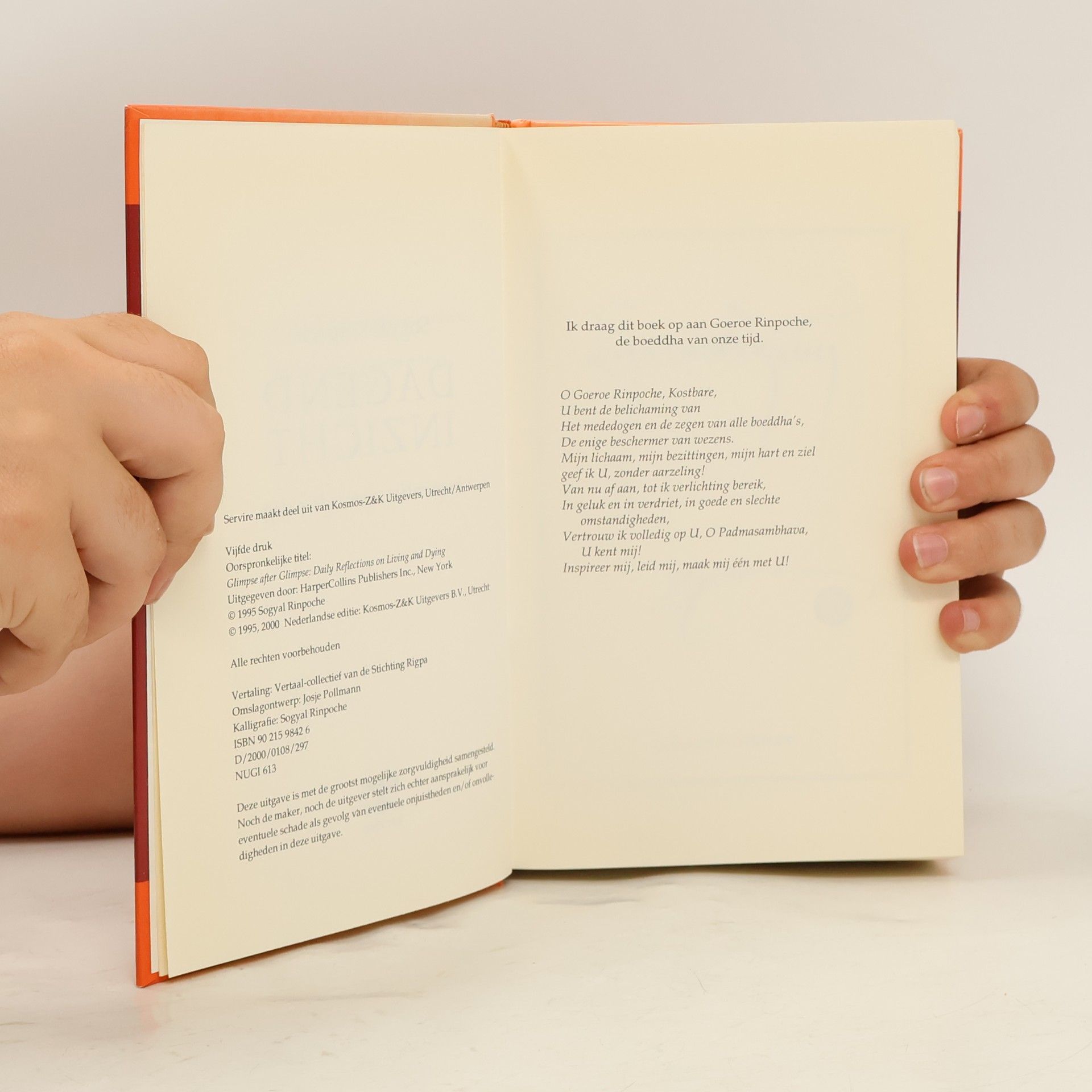 Sogyal Rinpoche Dagend inzicht