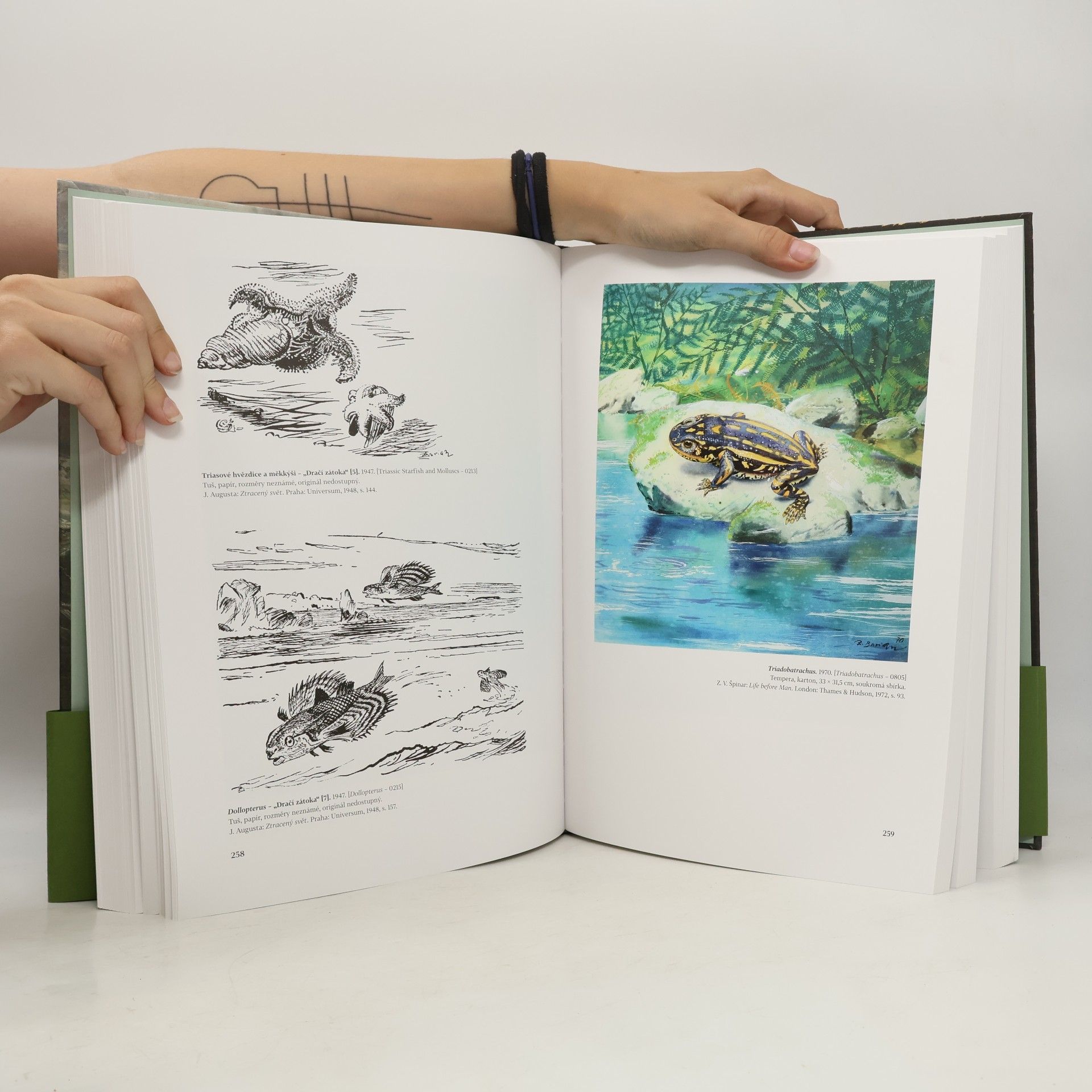 Zdeněk Burian Pravěký svět Zdeňka Buriana. Od vzniku Země po zánik dinosaurů