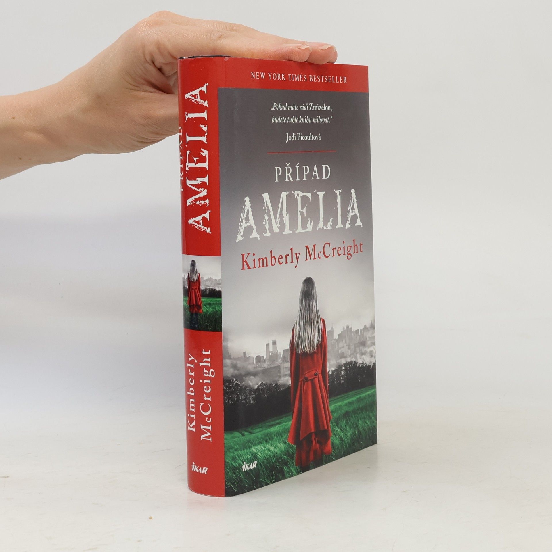 Kimberly McCreight Případ Amelia
