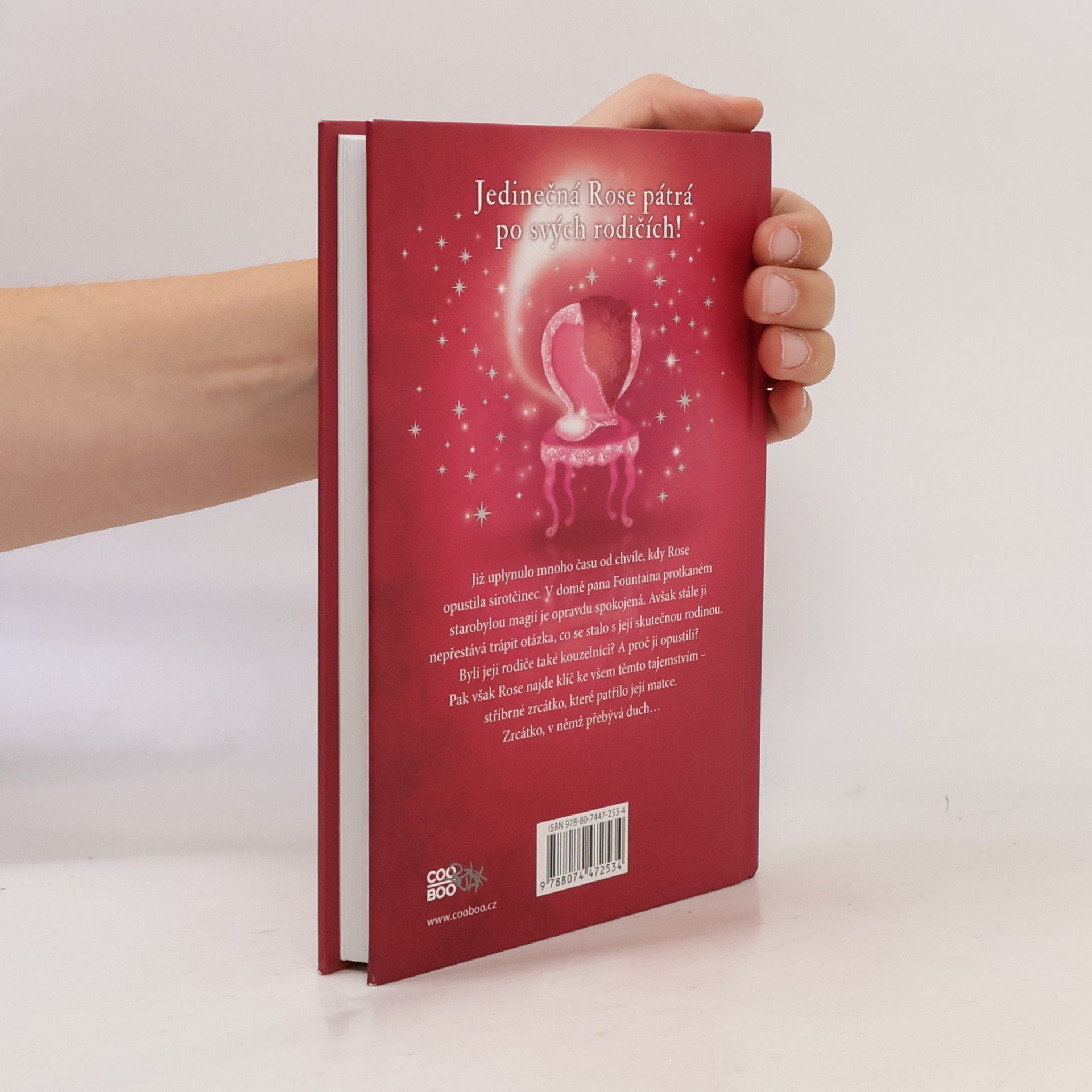 Holly Webb Rose a stříbrný duch