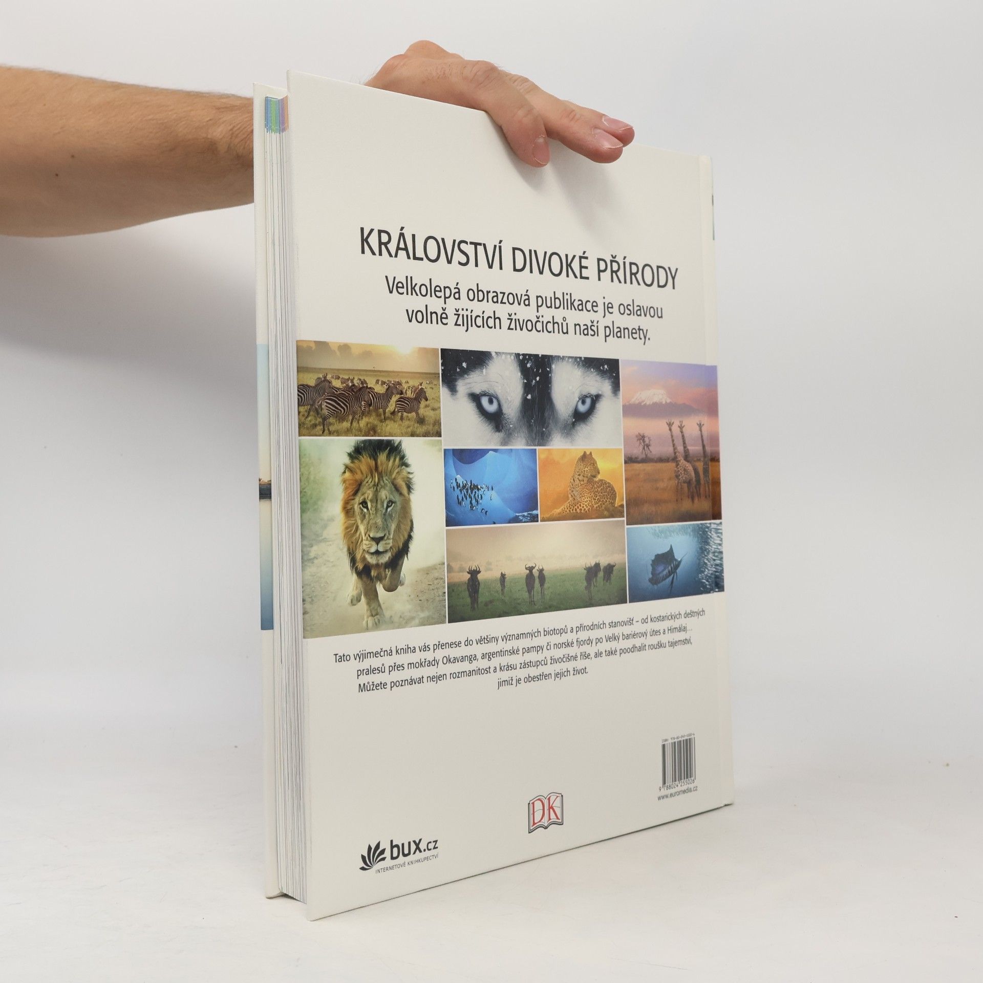 Autorenkollektiv Království divoké přírody