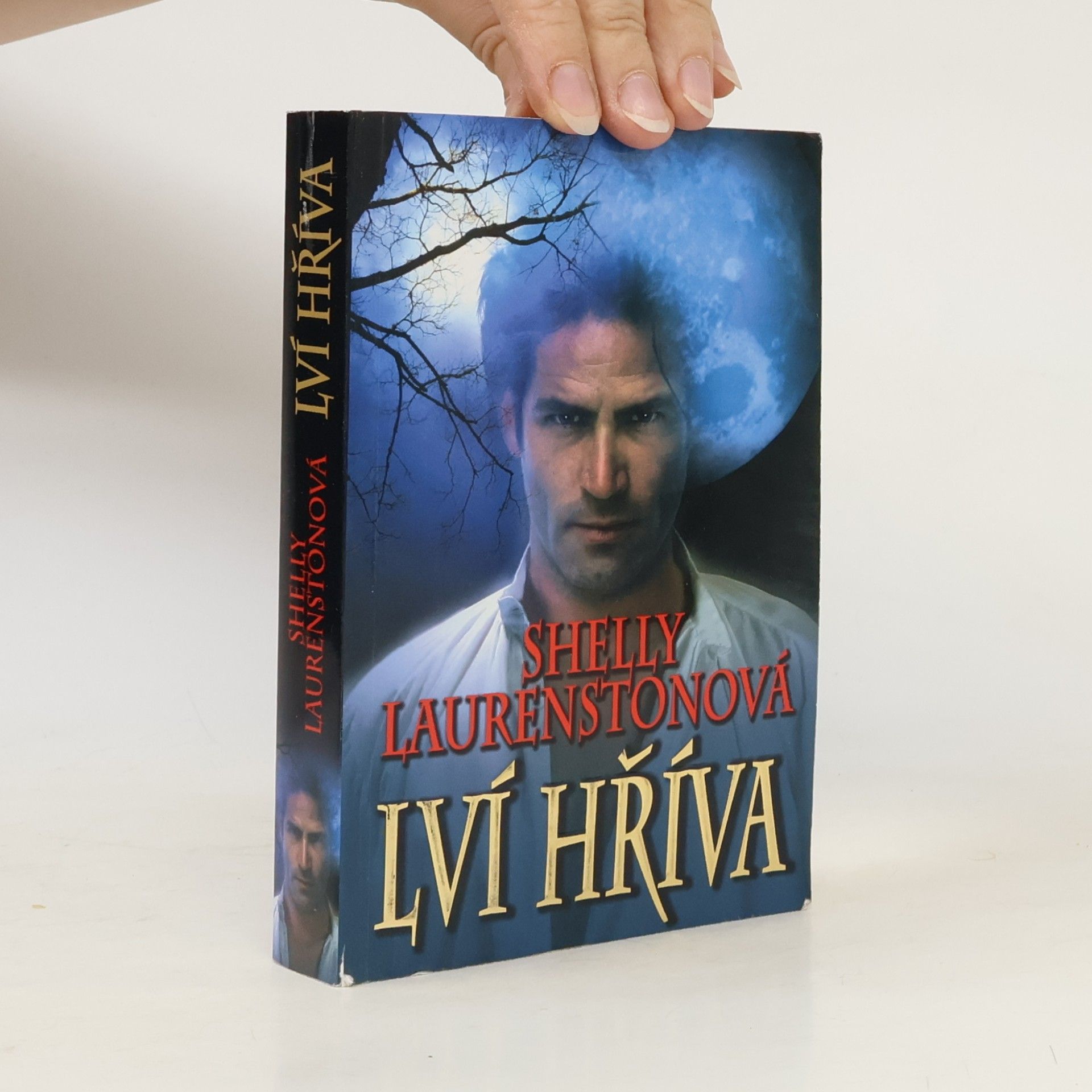 Shelly Laurenston Lví hříva
