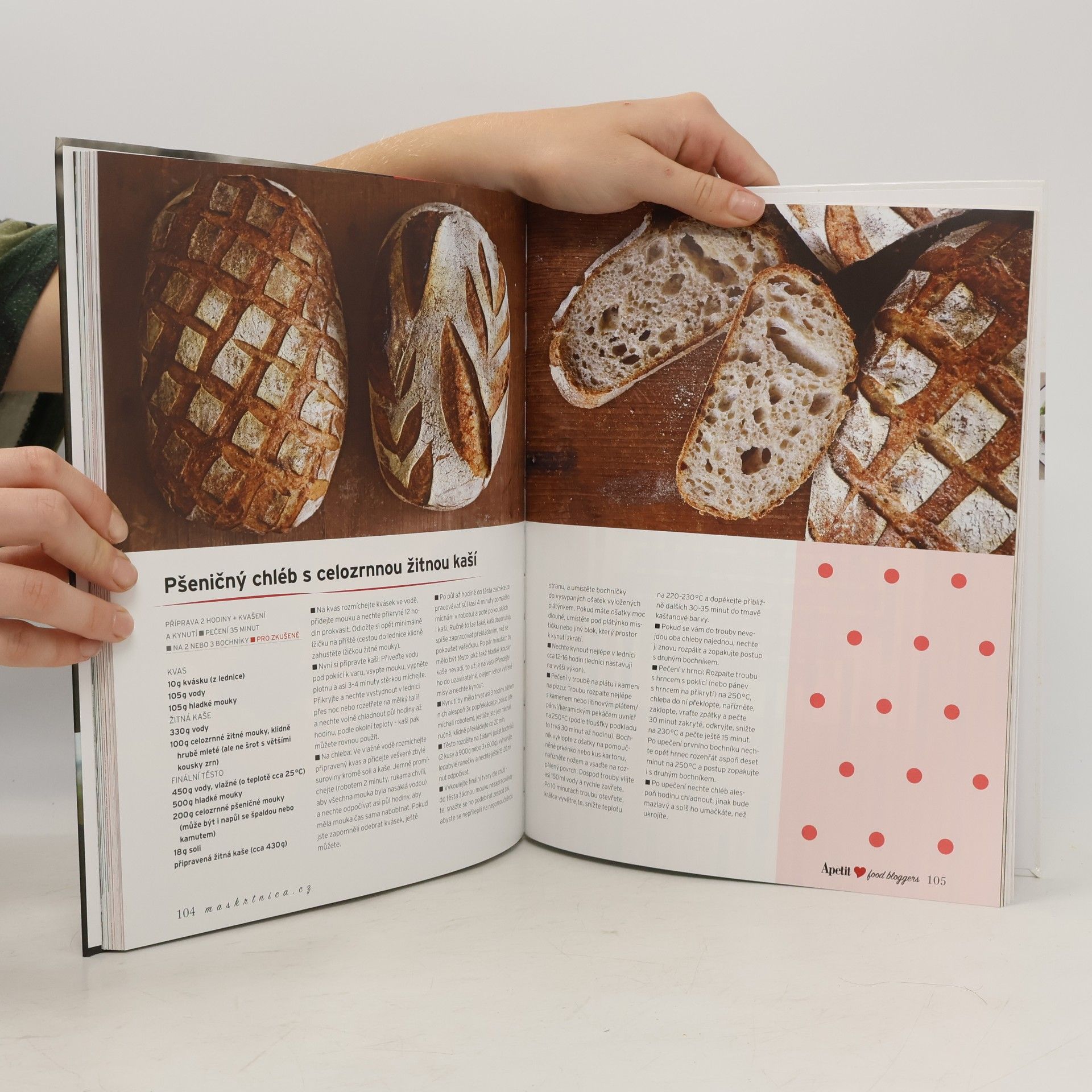 Autores varios To nejlepší od českých a slovenských food blogerů: Apetit food bloggers