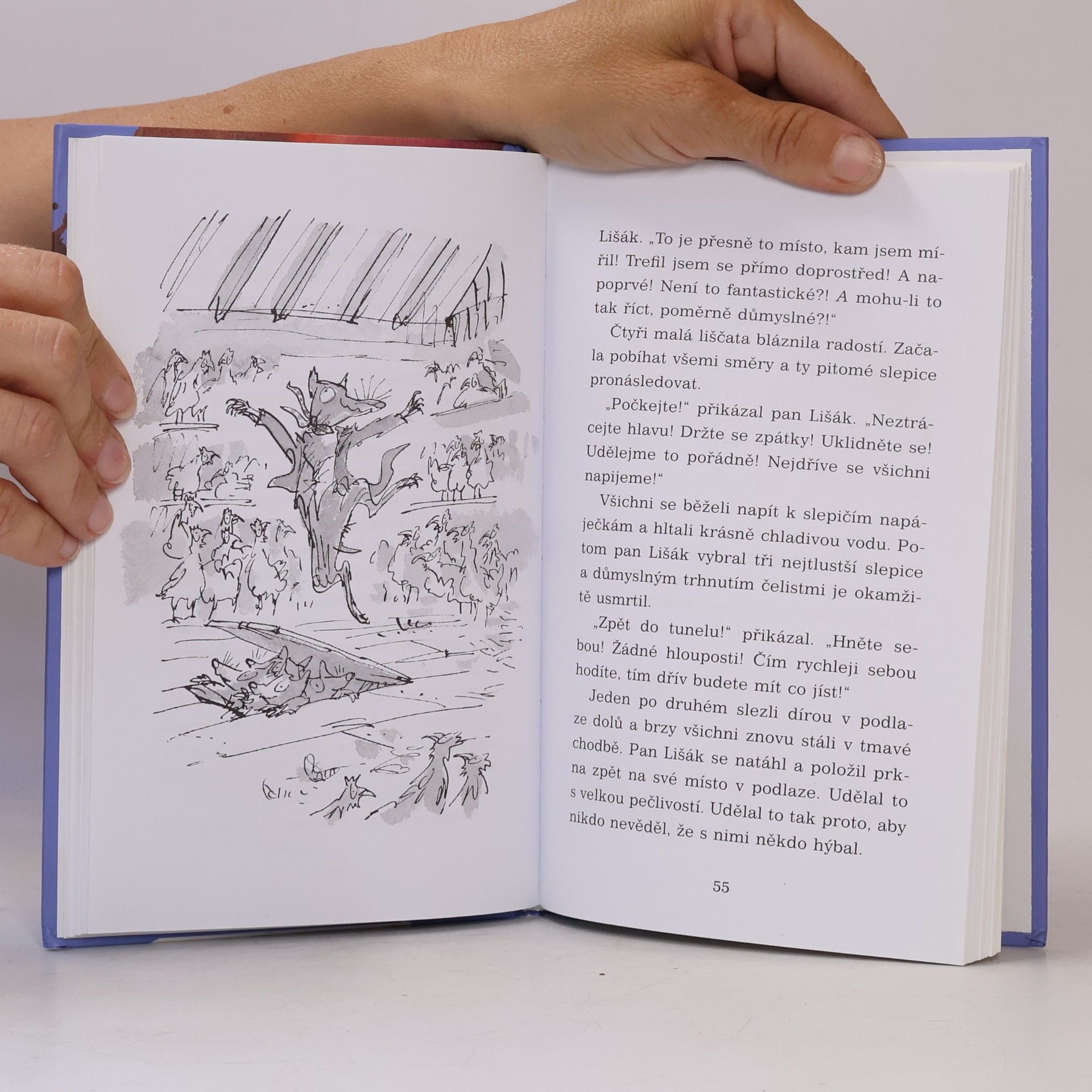 Roald Dahl Fantastický pan Lišák