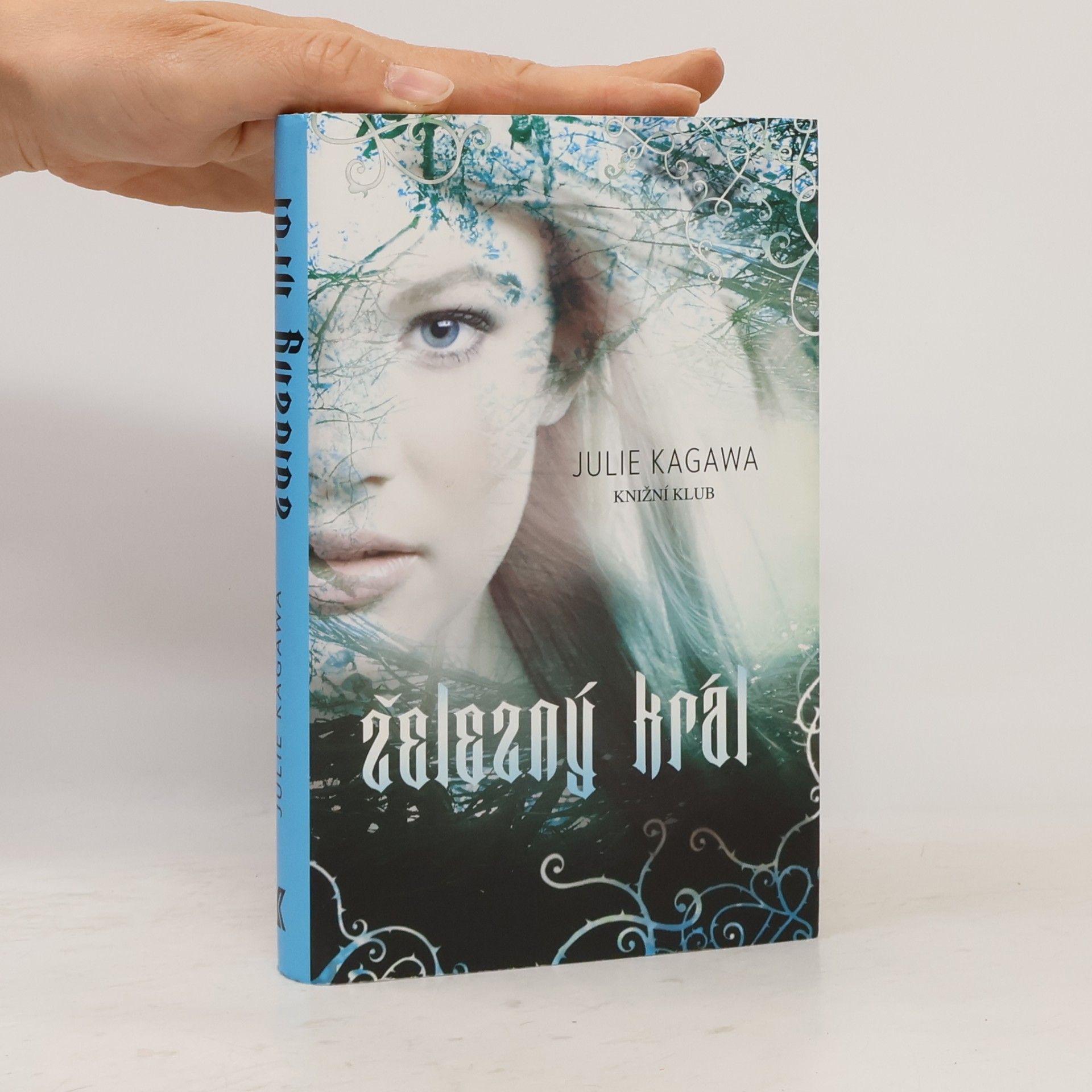 Julie Kagawa Železný král