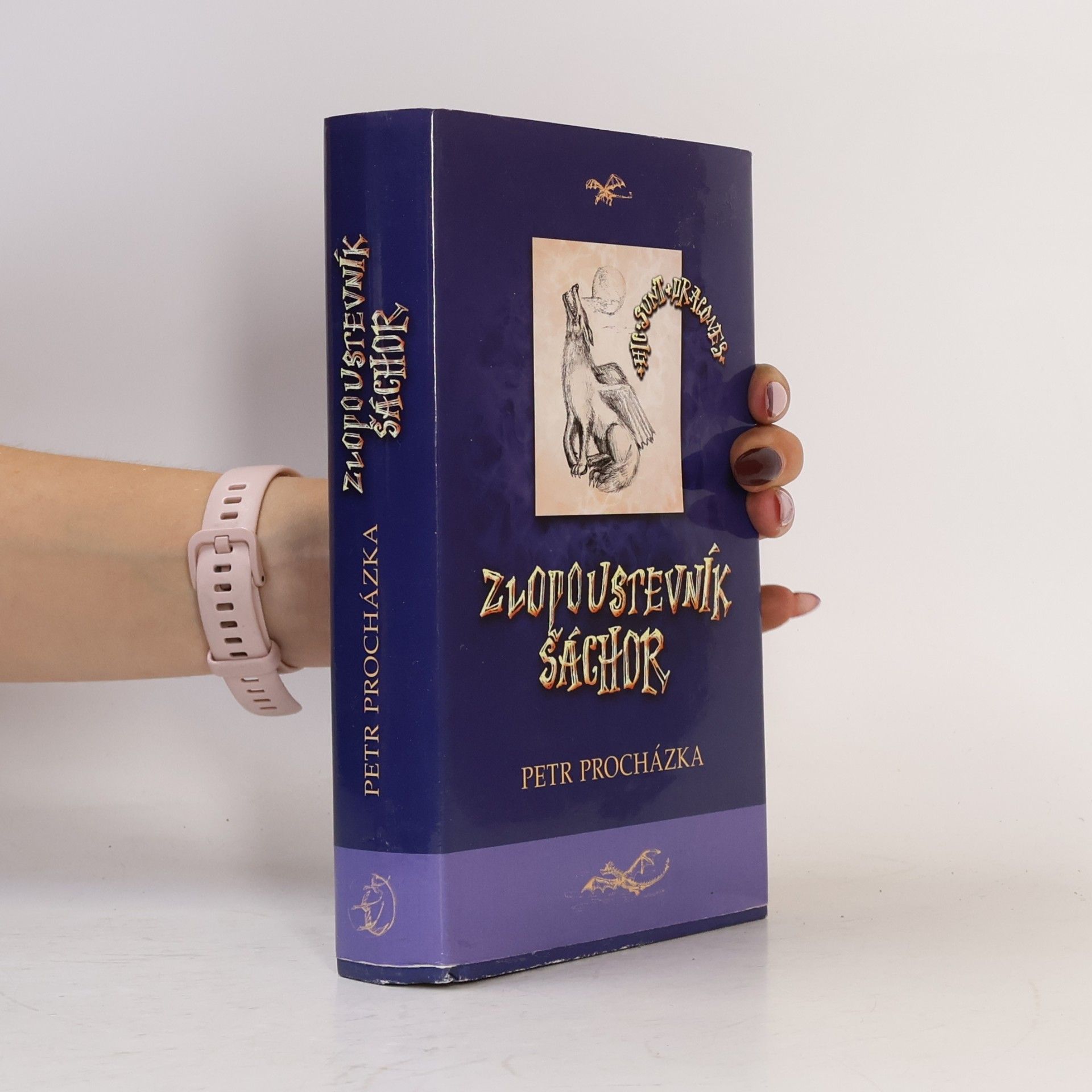 Petr K. Procházka Zlopoustevník Šáchor. Hic sunt dracones II