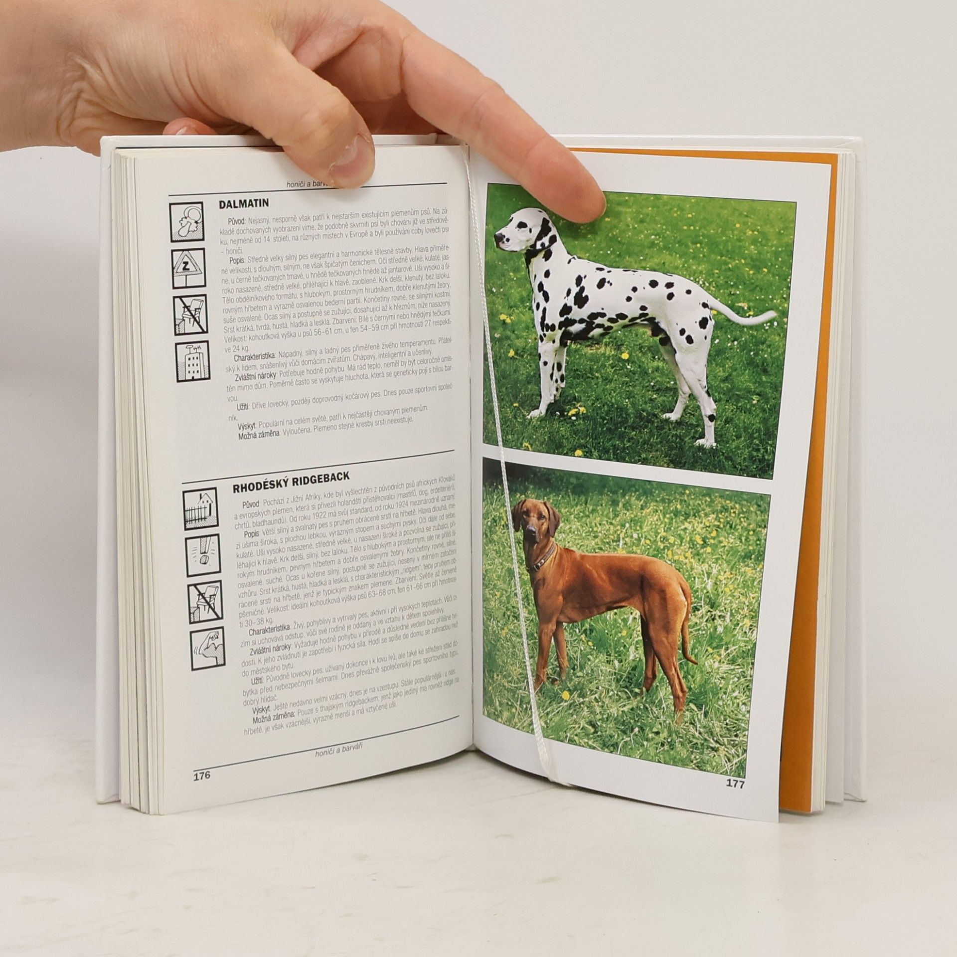 Lea Smrčková Kapesní atlas psů