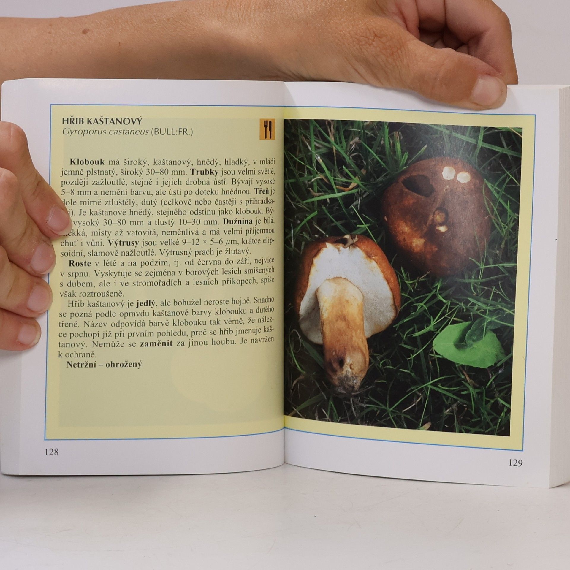 Miroslav Smotlacha Kapesní atlas hub