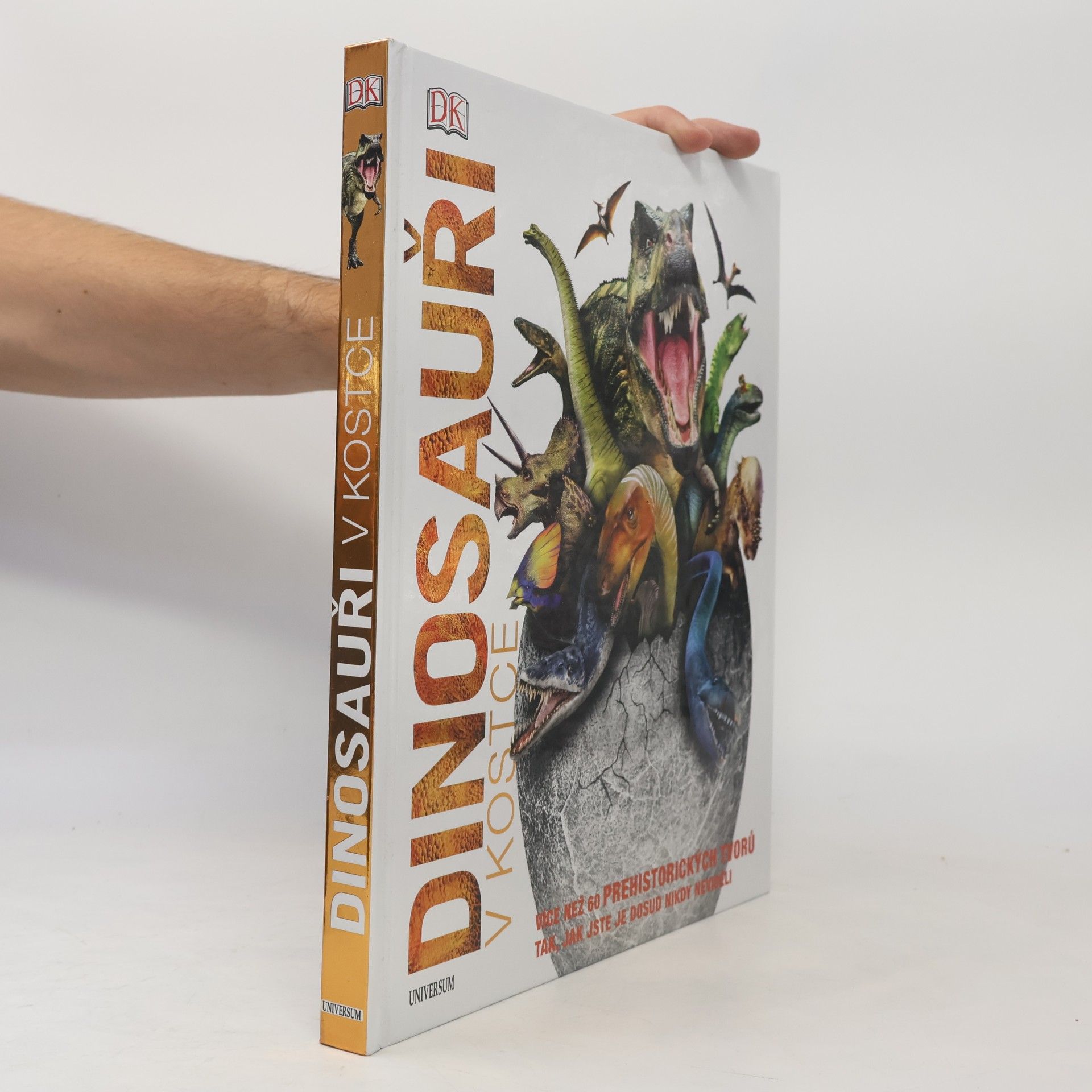 Autorenkollektiv Dinosauři v kostce