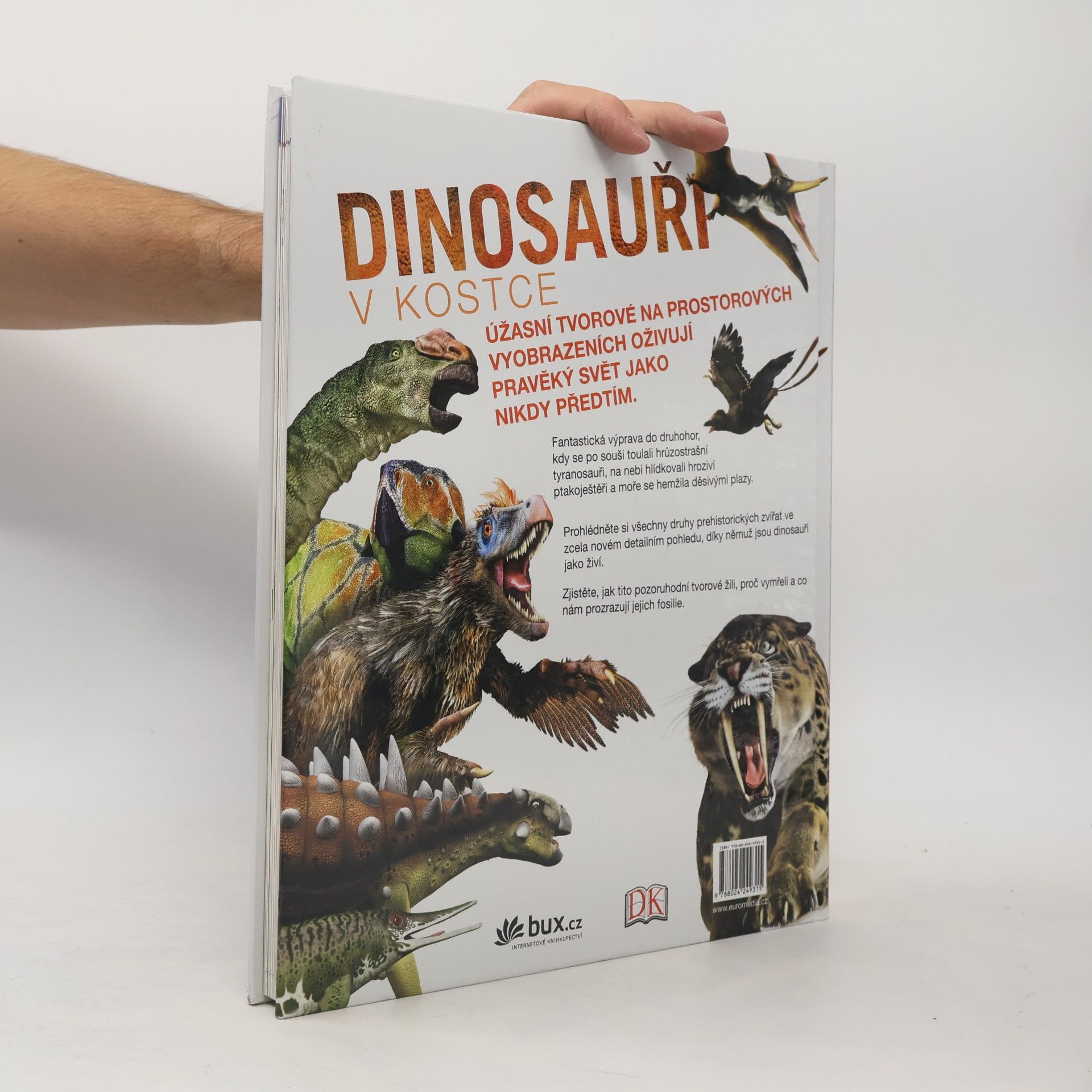 Autorenkollektiv Dinosauři v kostce