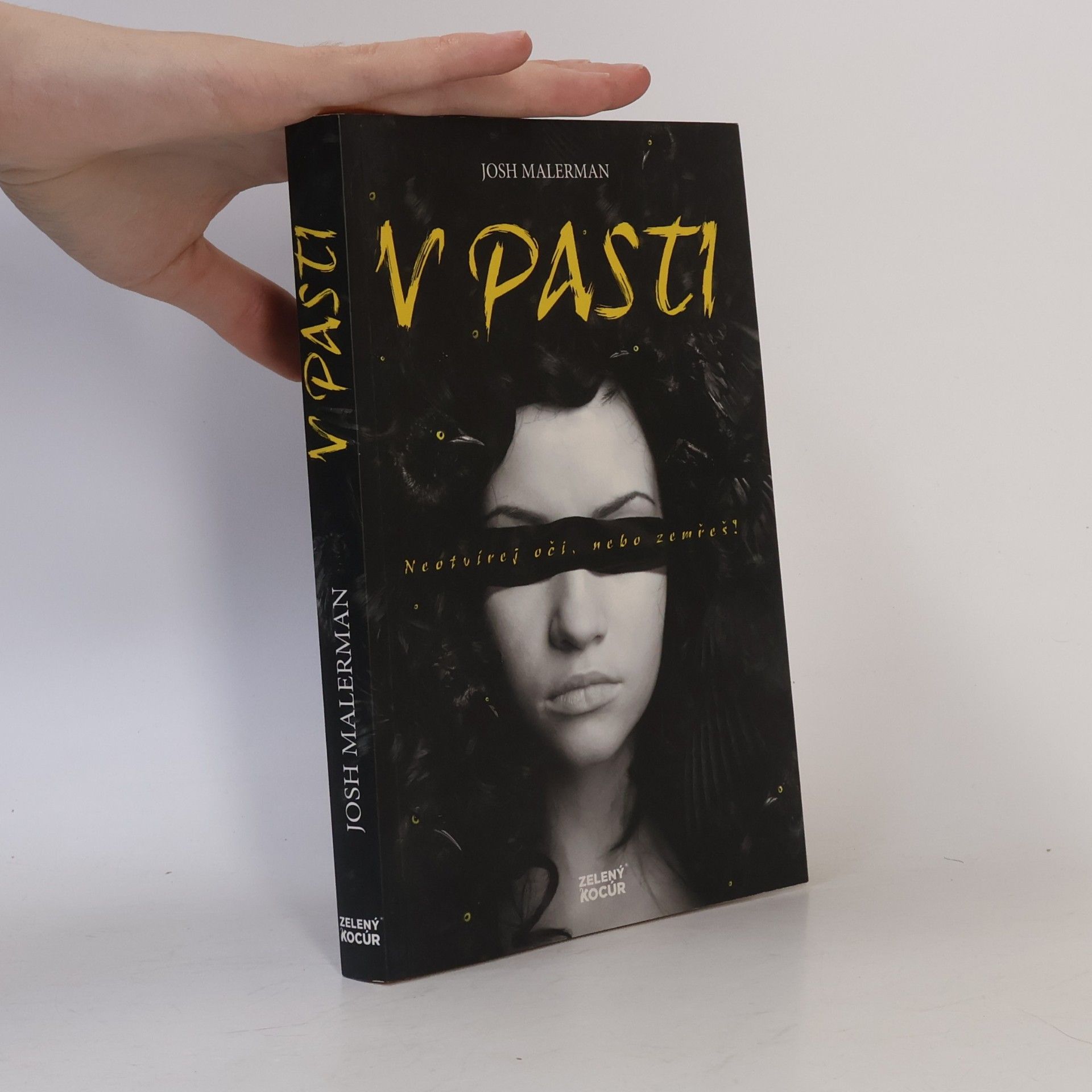 Josh Malerman V pasti