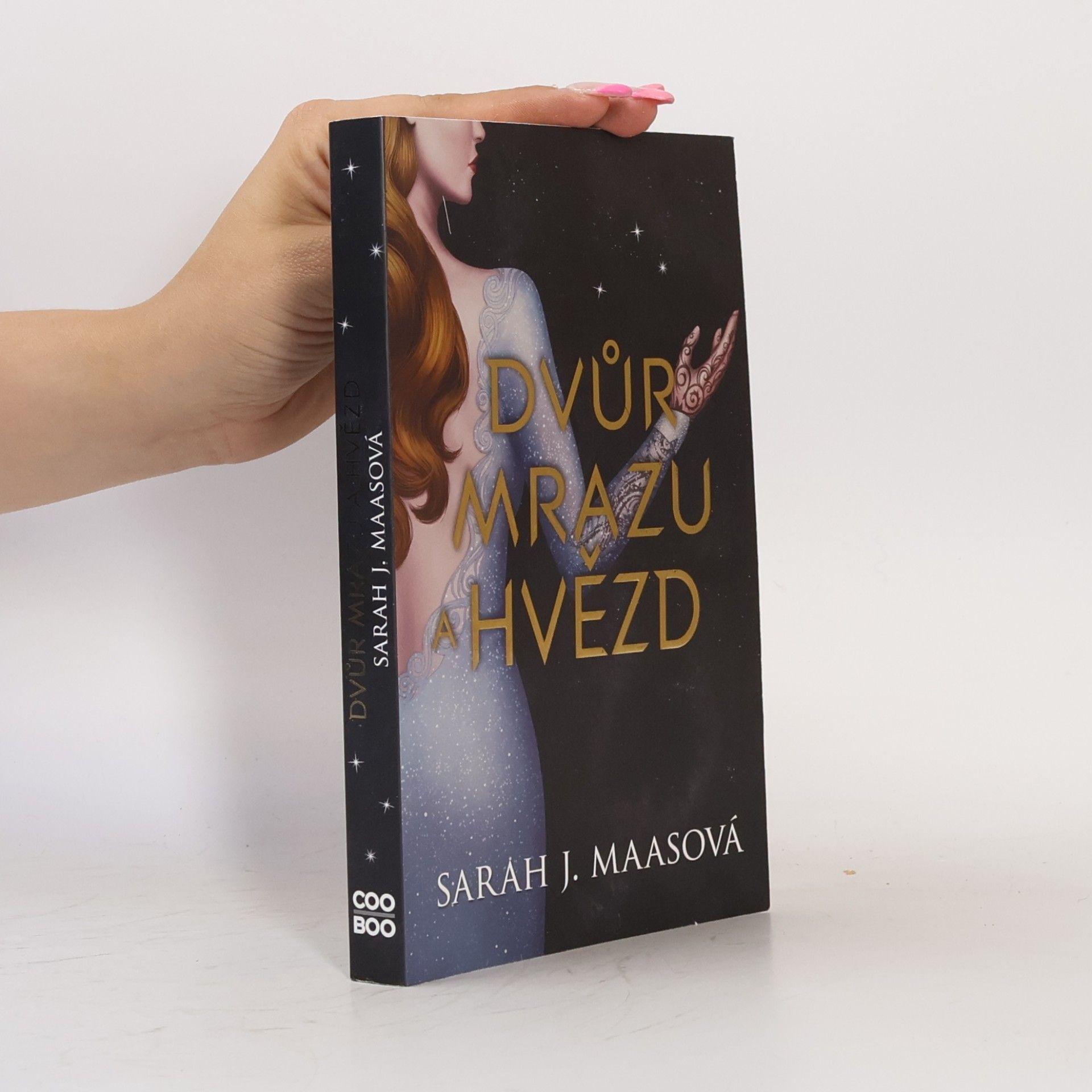 Sarah J. Maas Dvůr mrazu a hvězd